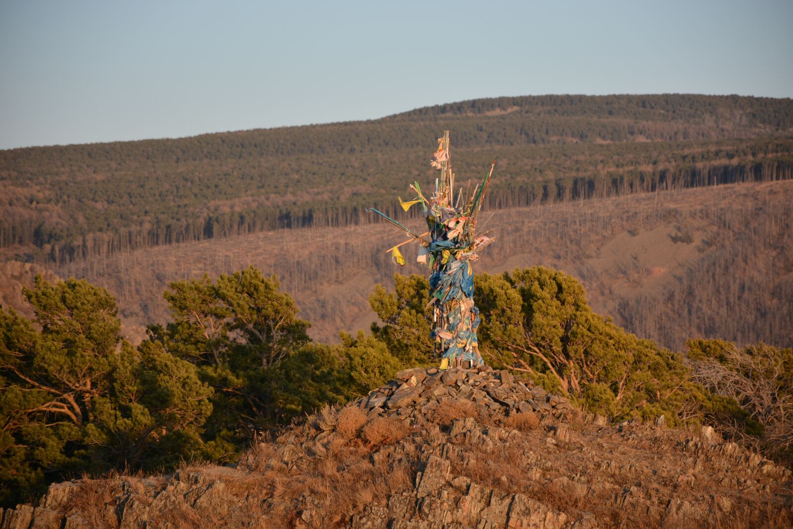 Nikon D7100 sample photo. Travel, forest, mountain photography