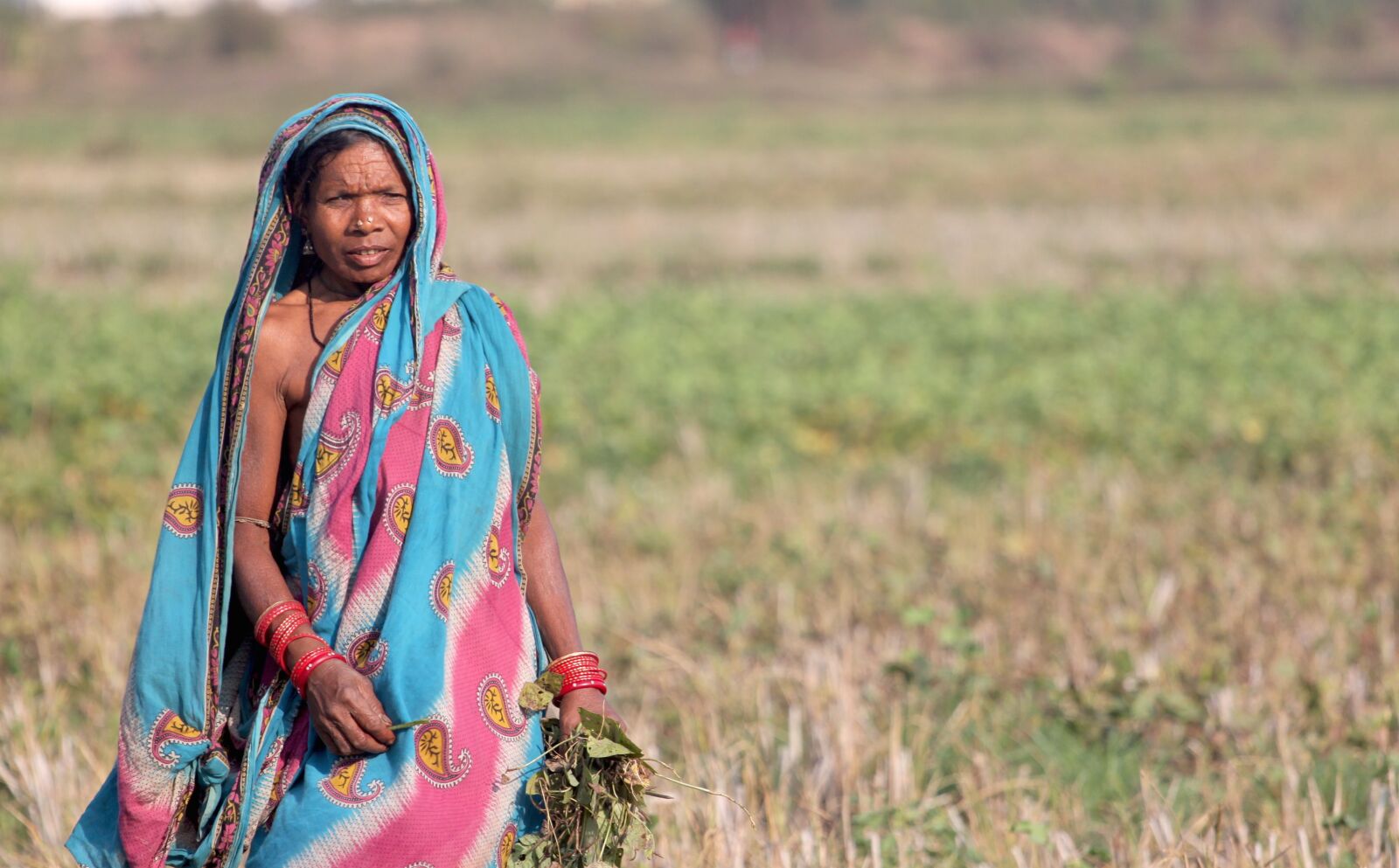 Canon EOS 500D (EOS Rebel T1i / EOS Kiss X3) sample photo. India, woman, odisha photography