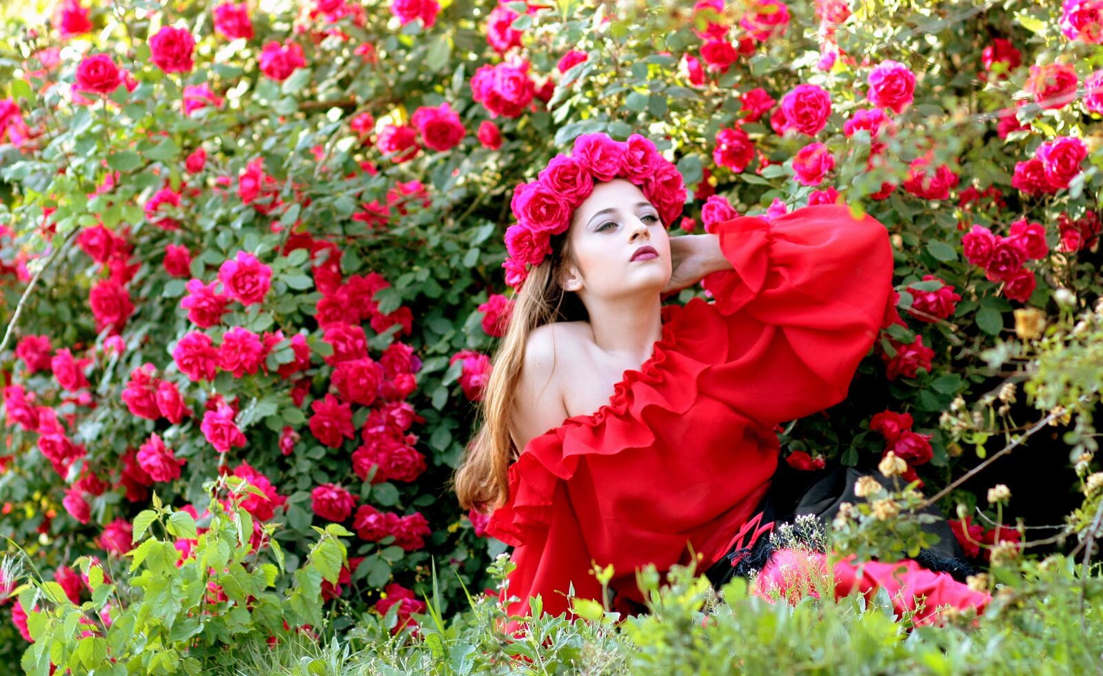 Canon EOS 450D (EOS Rebel XSi / EOS Kiss X2) sample photo. Girl, roses, red photography