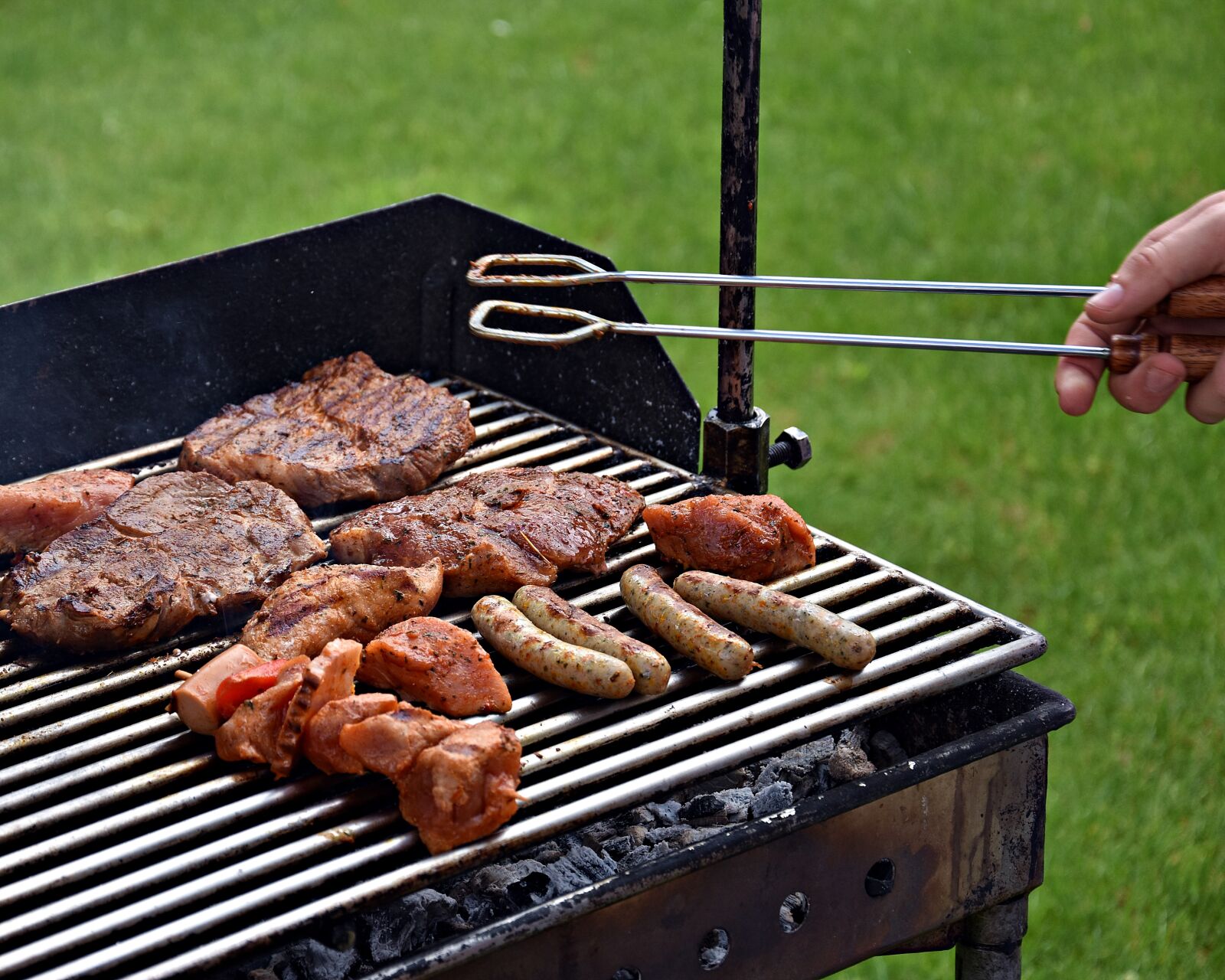 Nikon D3400 sample photo. Barbecue, picnic, grill party photography