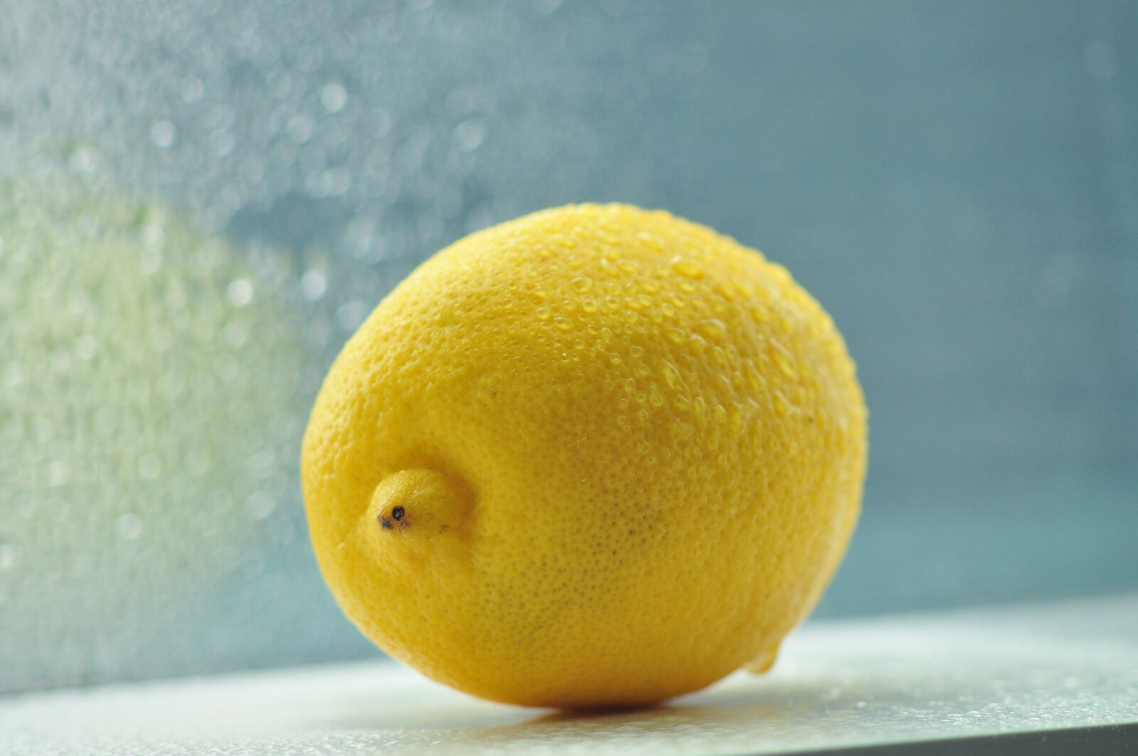 Nikon D90 sample photo. Lemon, yellow lemon, healthy photography