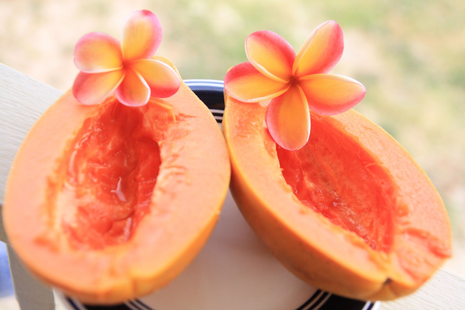 Canon EOS 450D (EOS Rebel XSi / EOS Kiss X2) sample photo. Papaya, plumeria, breakfast photography
