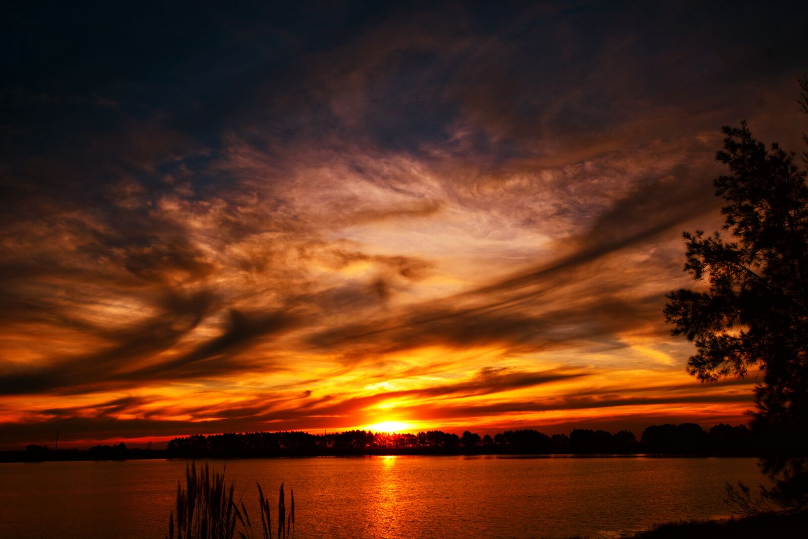 Nikon D5200 sample photo. Laguna, sunset, landscape photography