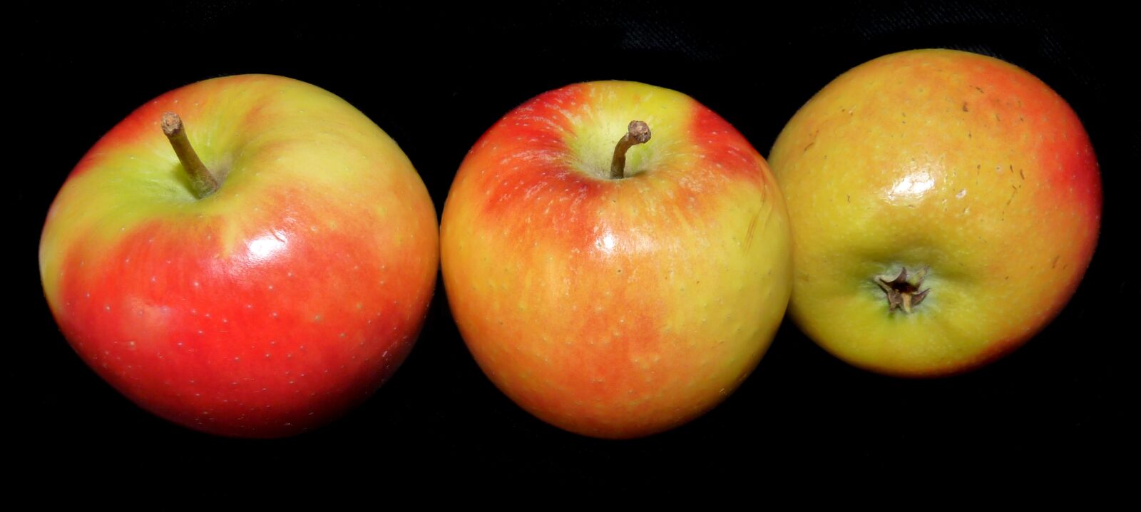 Panasonic Lumix DMC-FZ28 sample photo. Apples, fruit, delicious photography