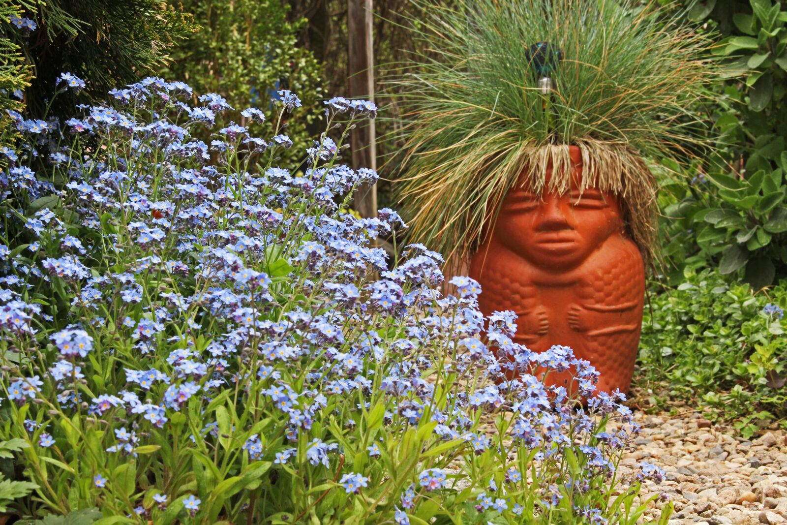Canon EOS 700D (EOS Rebel T5i / EOS Kiss X7i) sample photo. Terracotta, planting pot, plant photography