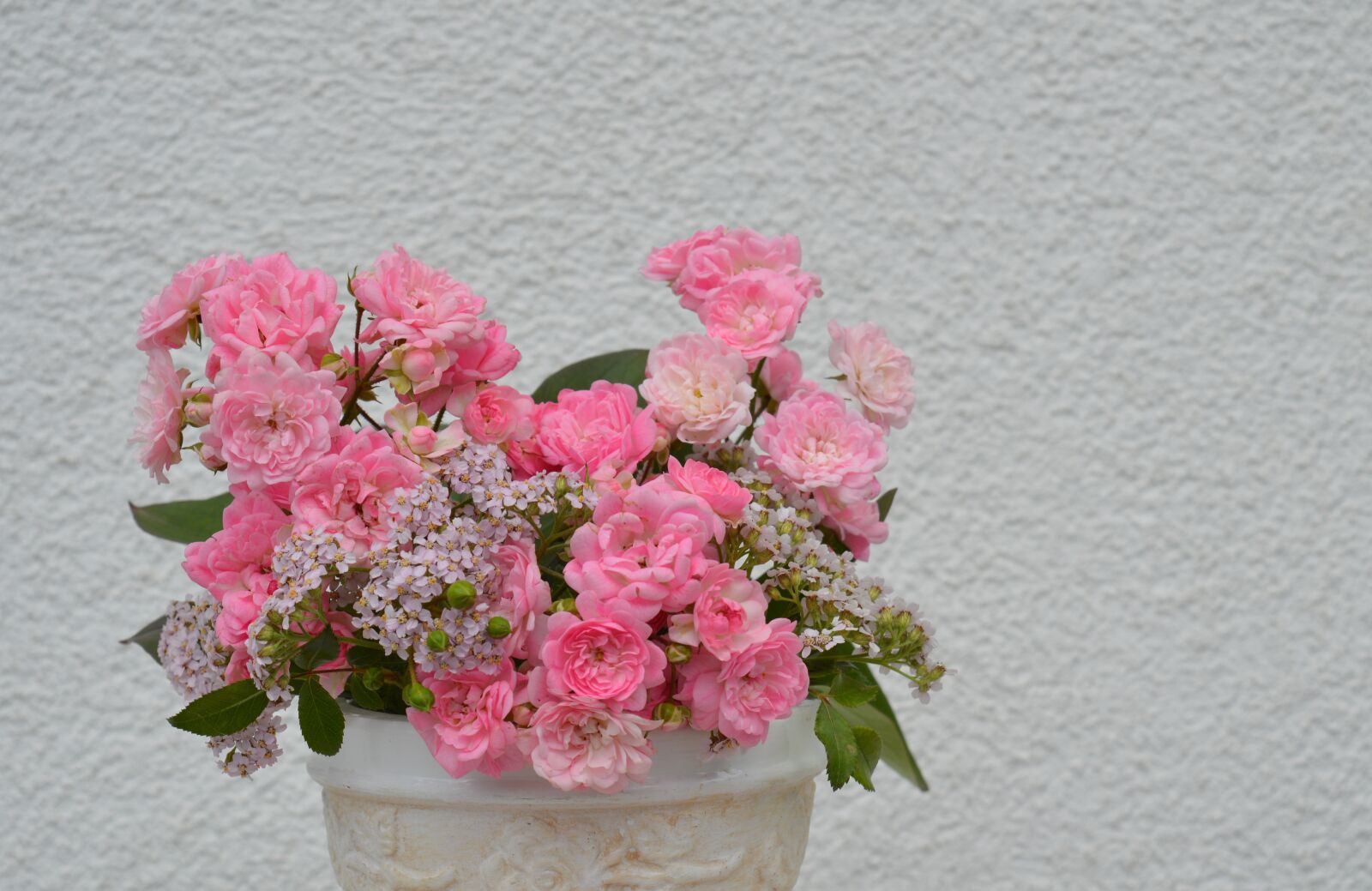 Nikon D3200 sample photo. Rose, pink, blossom photography