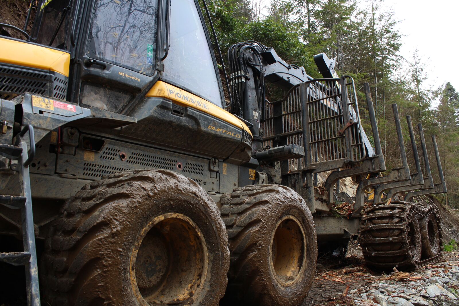 Canon EOS 1300D (EOS Rebel T6 / EOS Kiss X80) sample photo. Timber harvester, forestry machinery photography