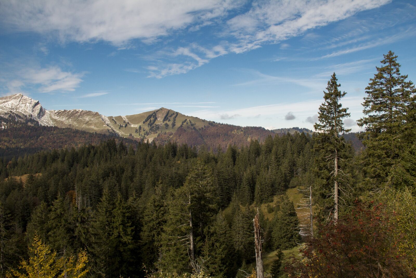 Canon EOS 600D (Rebel EOS T3i / EOS Kiss X5) sample photo. Mountains, forest, hiking photography