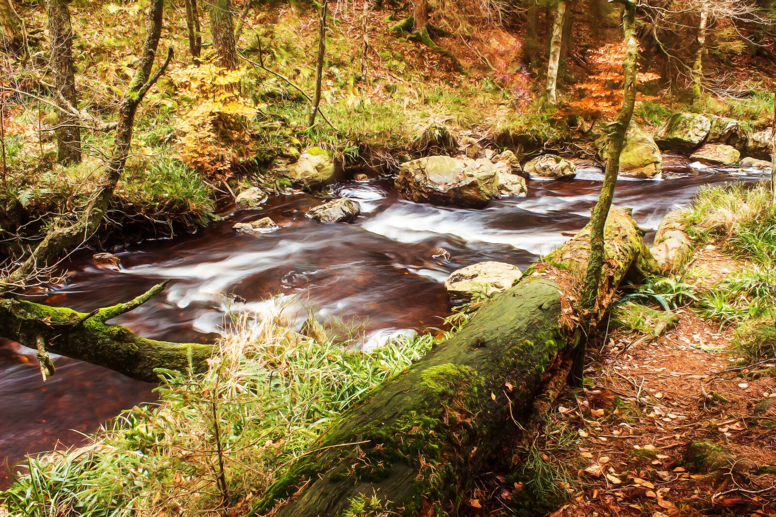 Canon EOS 650D (EOS Rebel T4i / EOS Kiss X6i) sample photo. River, bach, water photography
