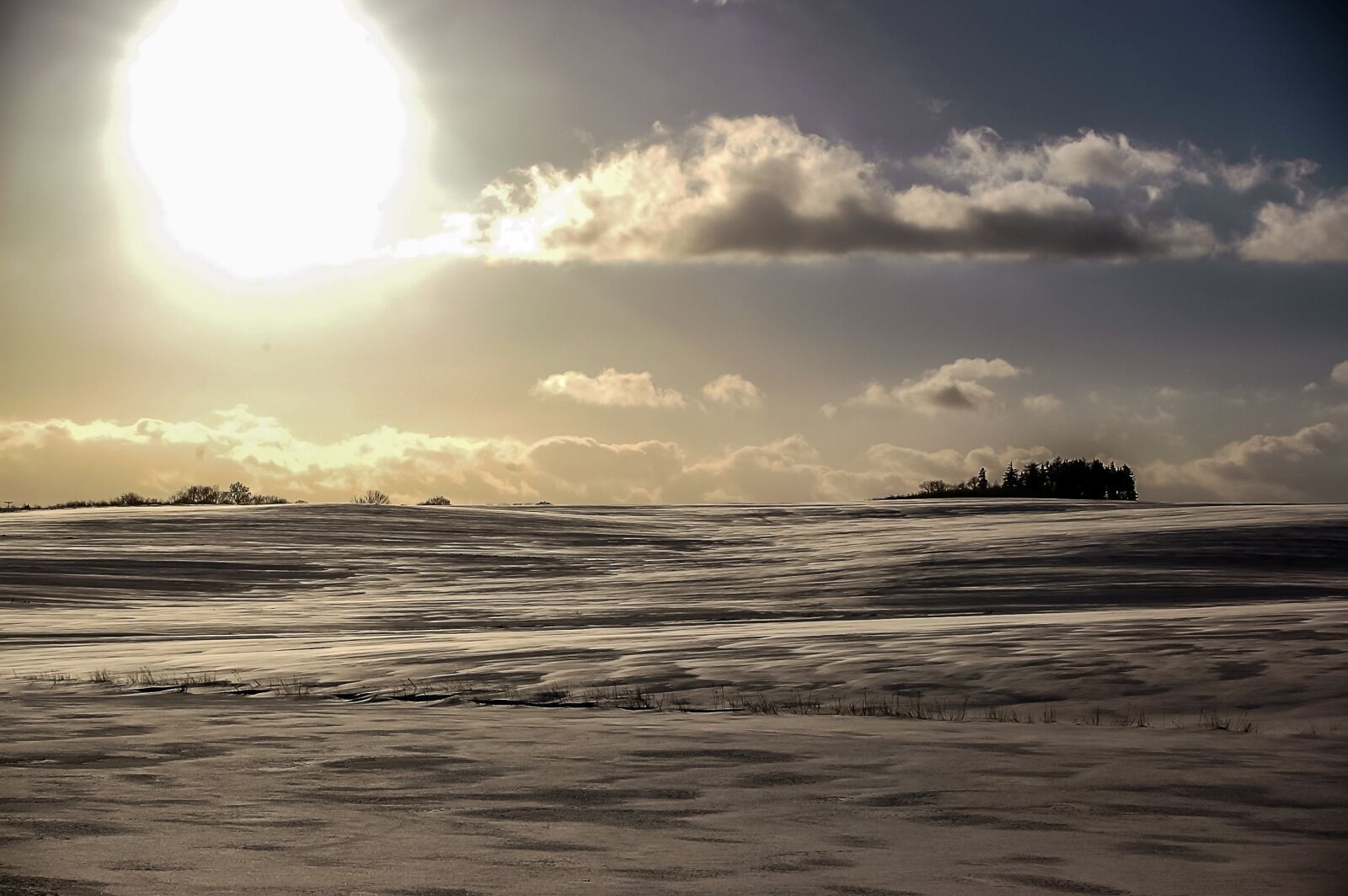 Nikon D70 sample photo. Sun, winter, snow photography