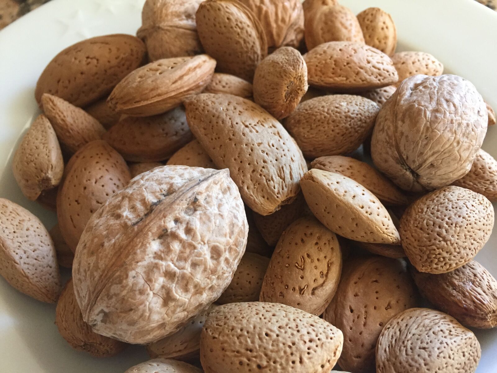 Apple iPhone 6 sample photo. Almonds, walnuts, nuts photography