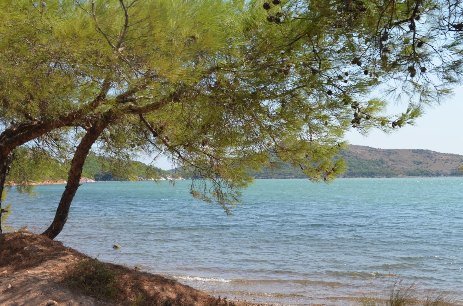 Nikon D5100 sample photo. Forest, marine, mountain photography