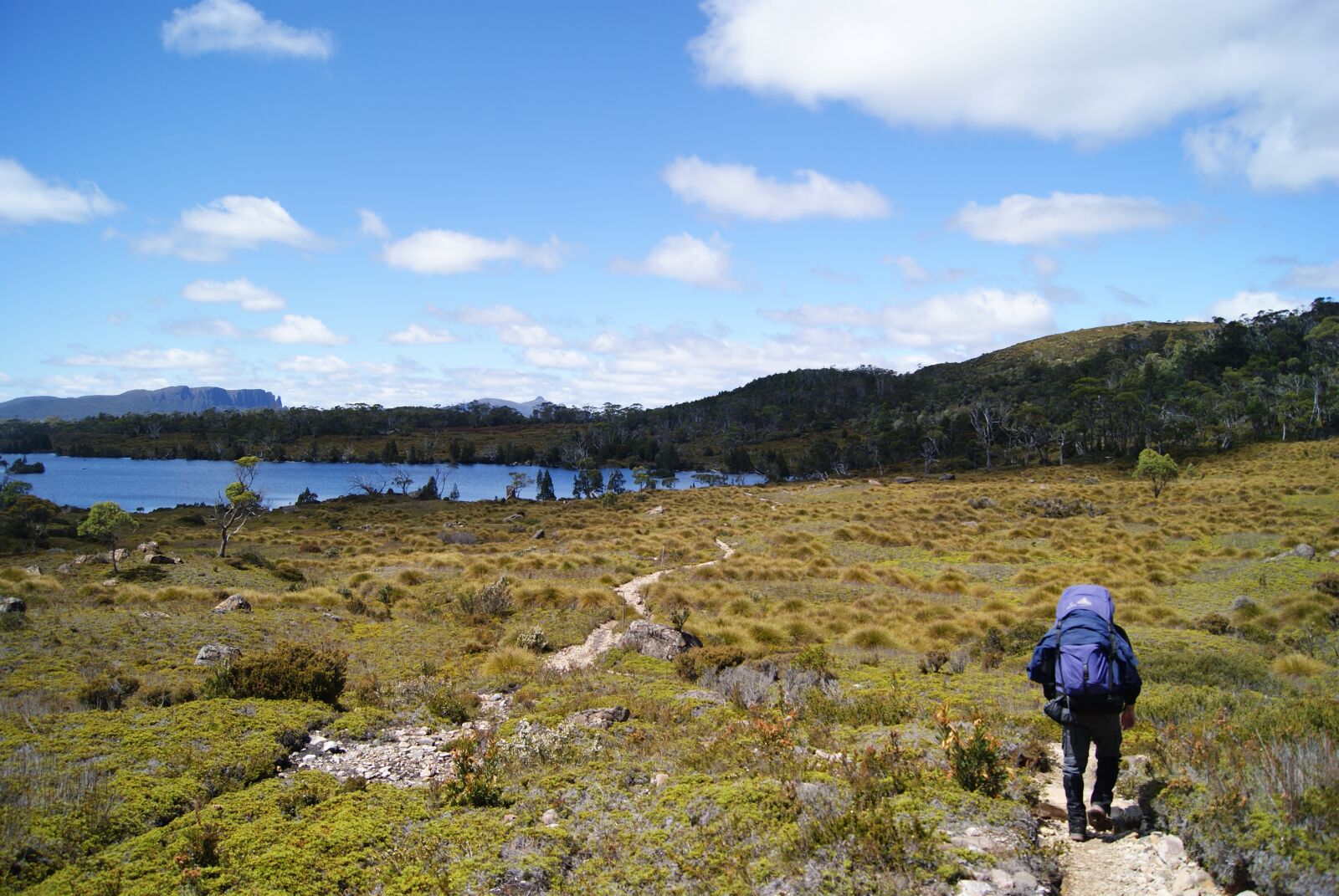 Sony Alpha DSLR-A230 sample photo. Hiking, overland track, tasmania photography