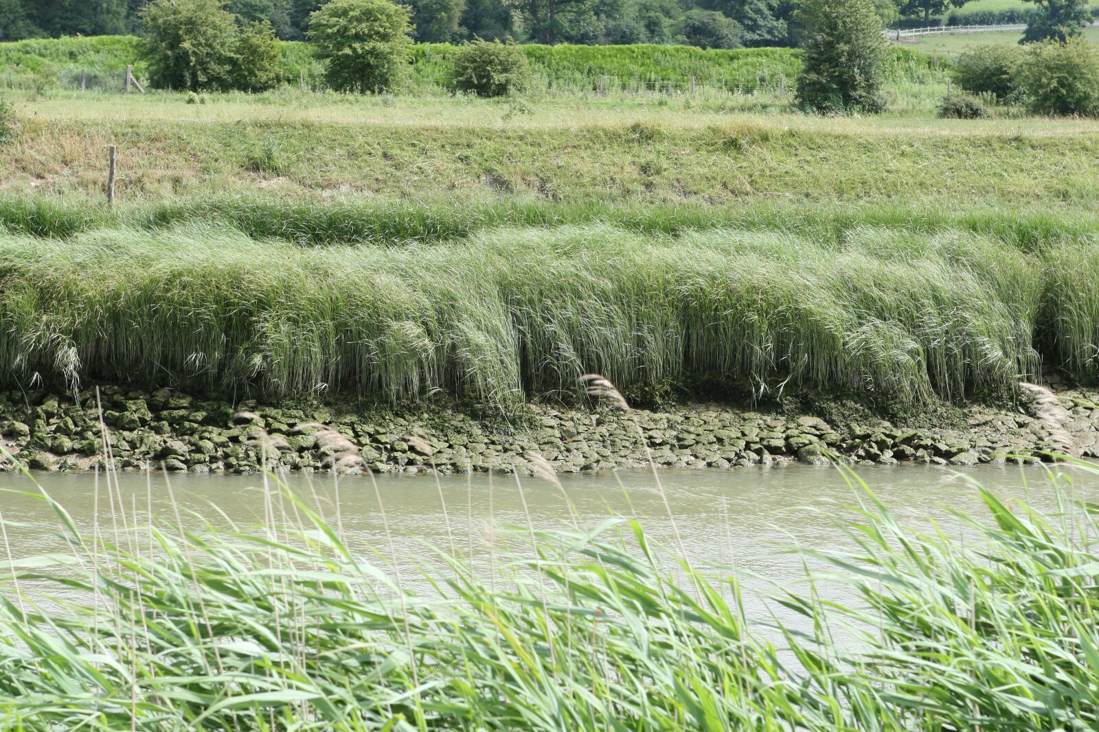 Canon EOS 30D sample photo. Aquatic, bank, bay photography