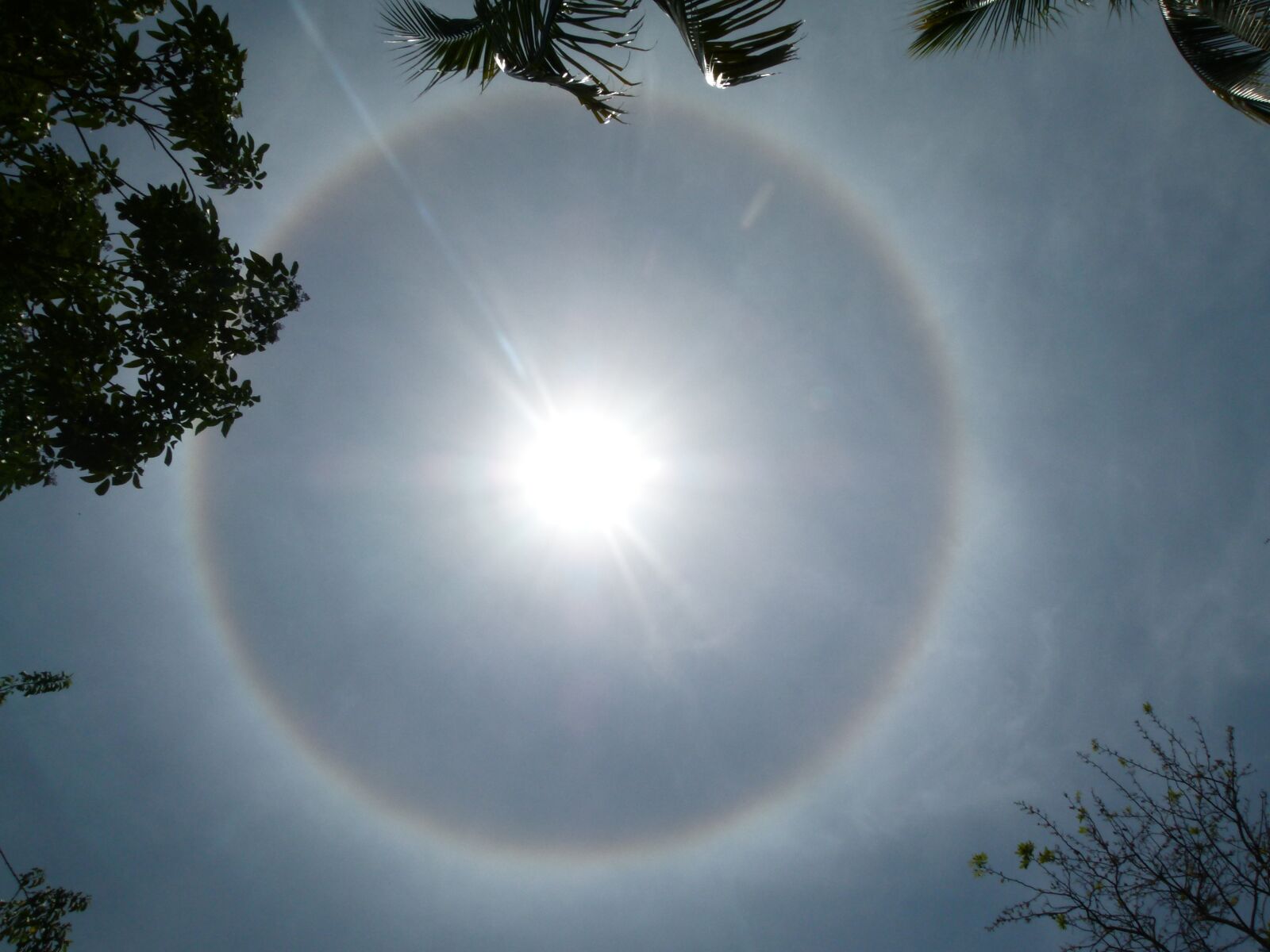 Panasonic Lumix DMC-FZ100 sample photo. Sonnenhalo, sun, halo photography