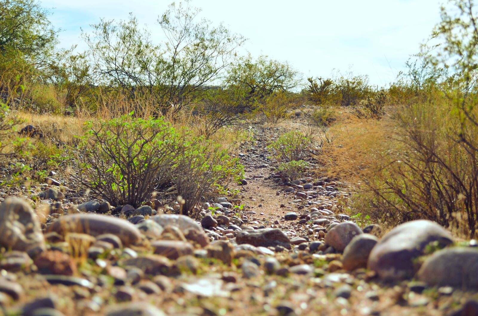 Nikon D5100 sample photo. Trail, desert, rocks photography