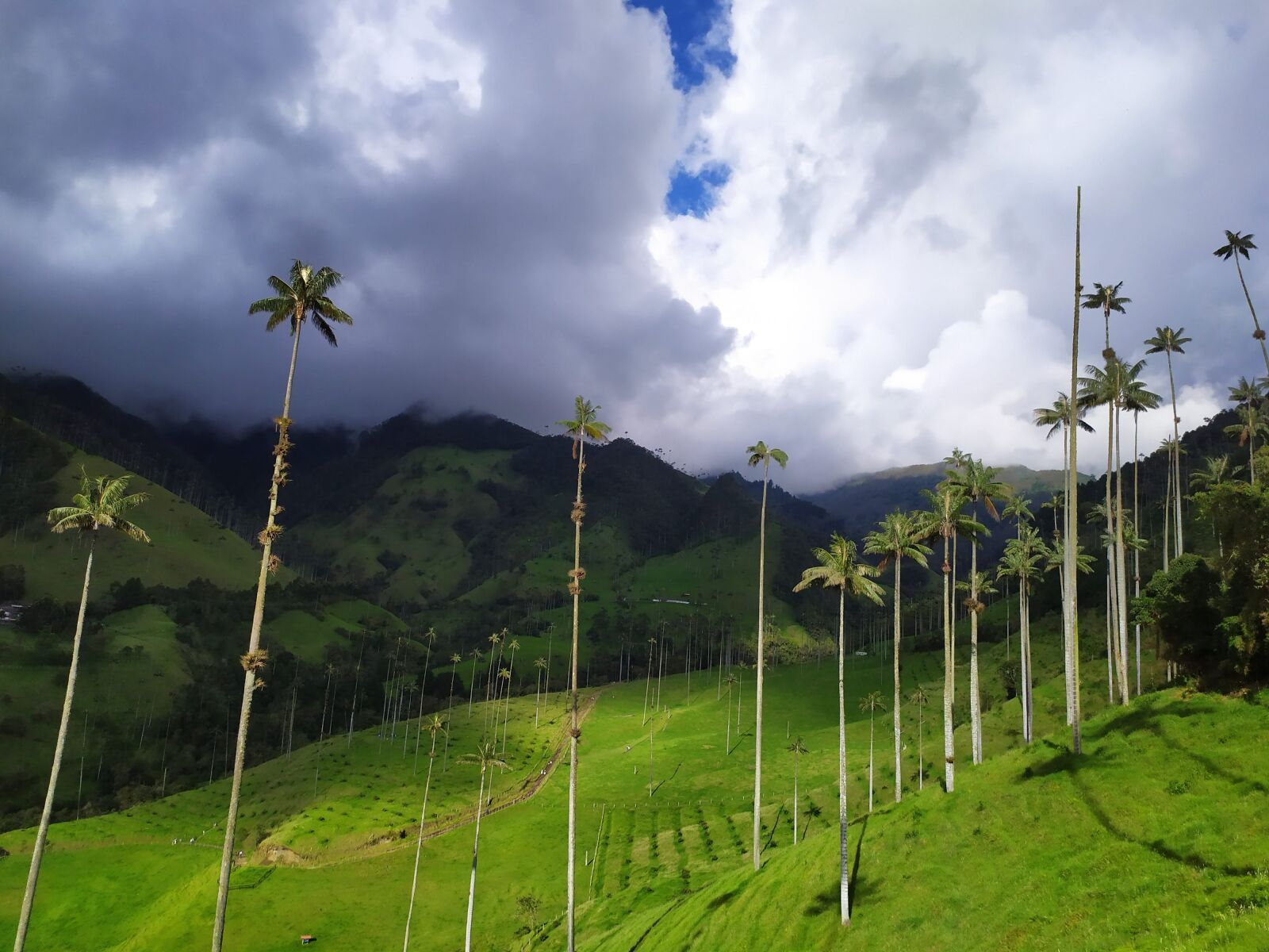 Xiaomi Redmi Note 7 sample photo. Cocora, green, colombia photography