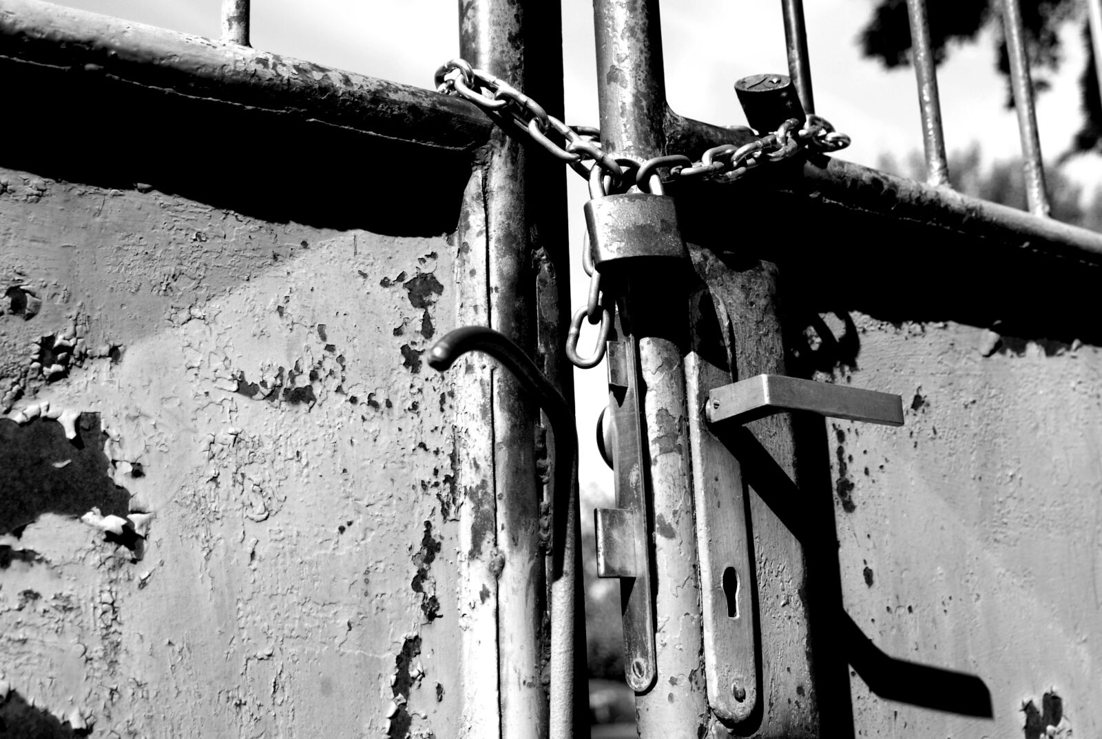 Nikon D200 sample photo. Gate, locked, castle photography