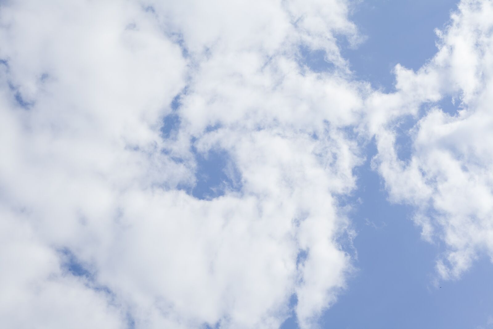 Canon EF 50mm F1.8 II sample photo. Cloud, blue, white photography