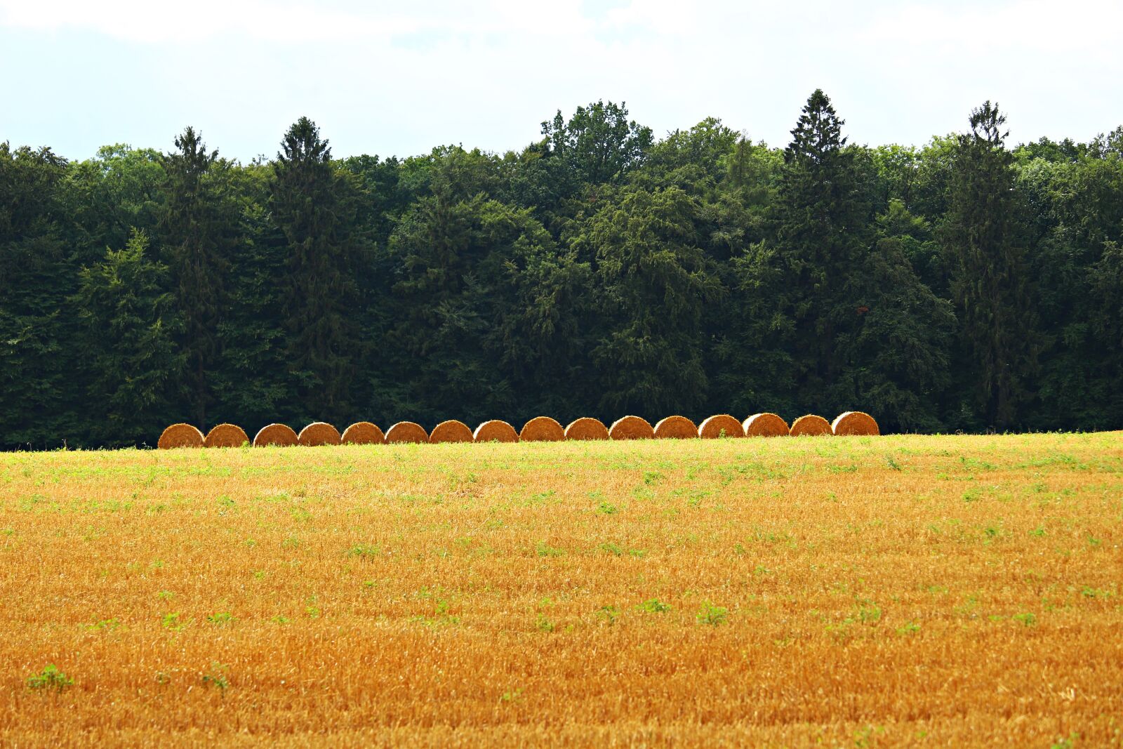 Canon EOS 100D (EOS Rebel SL1 / EOS Kiss X7) sample photo. Straw bales, straw, field photography