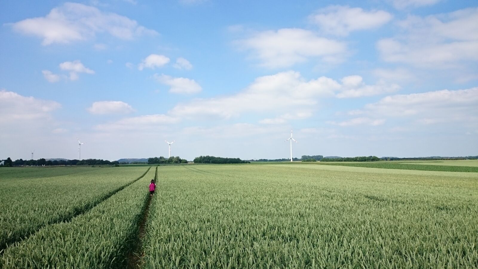 Sony Xperia Z1 sample photo. Field, wheat, germany photography