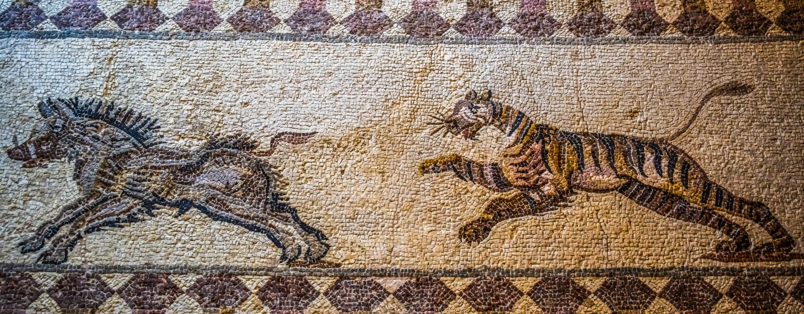 Nikon D3300 sample photo. Tiger hunting boar, mosaic photography