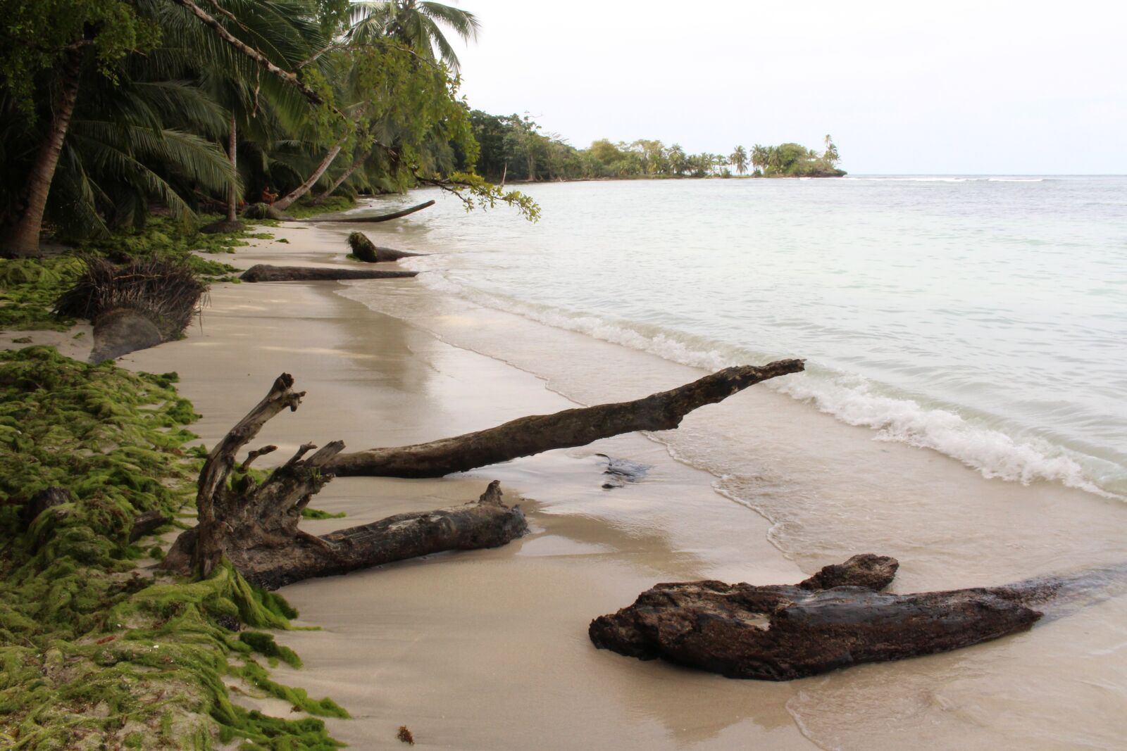 Canon EOS 700D (EOS Rebel T5i / EOS Kiss X7i) sample photo. Paradise, beach, palm trees photography