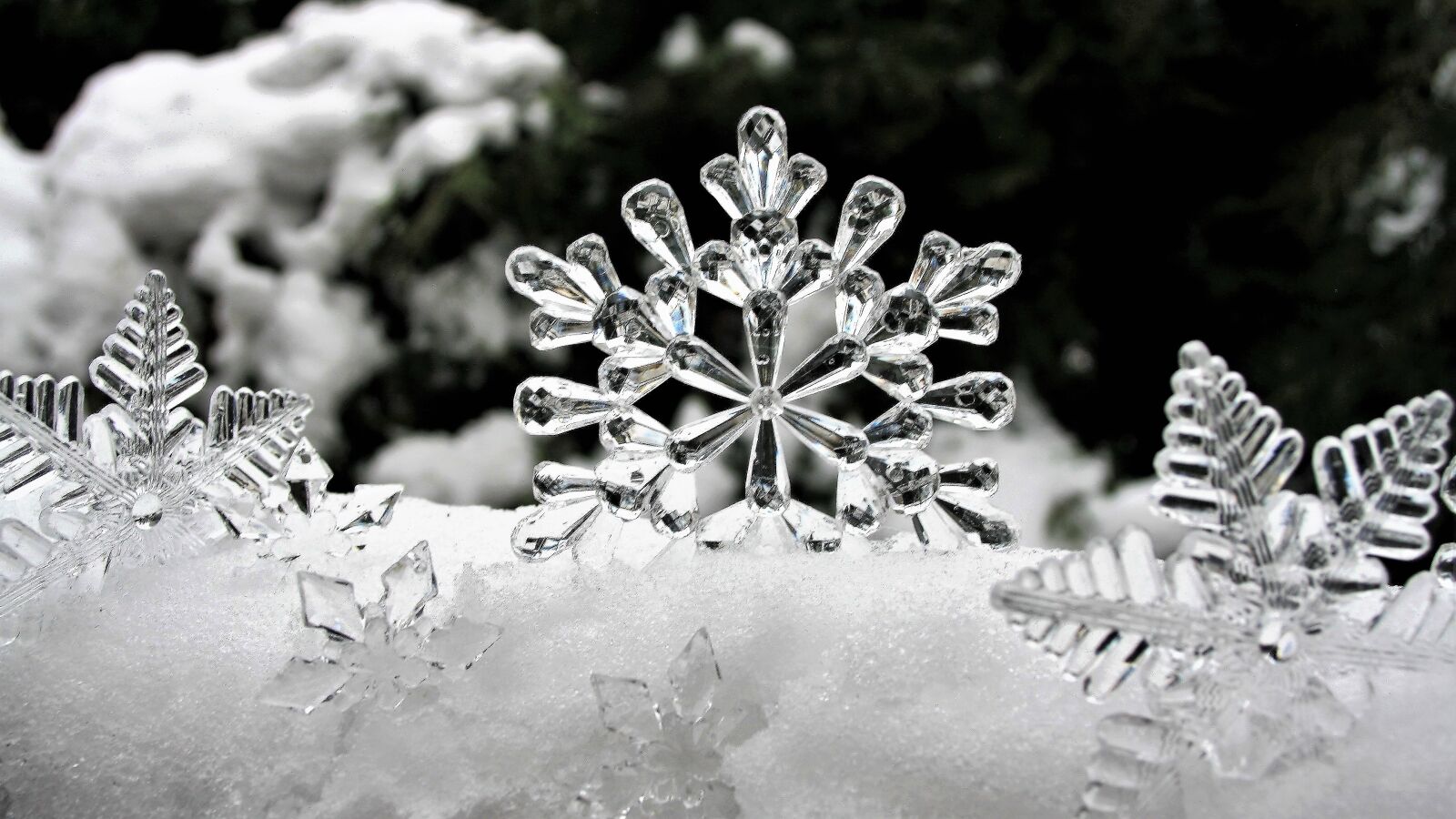 Canon EOS 400D (EOS Digital Rebel XTi / EOS Kiss Digital X) sample photo. Ice, stars, winter photography