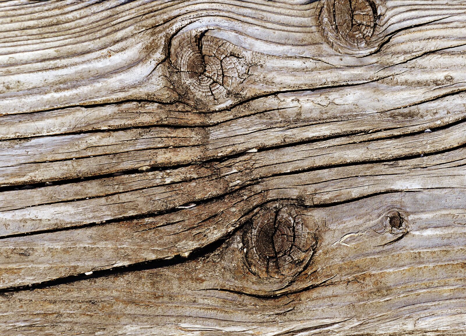 Panasonic Lumix DMC-FZ300 sample photo. Woods, wood, chop wood photography