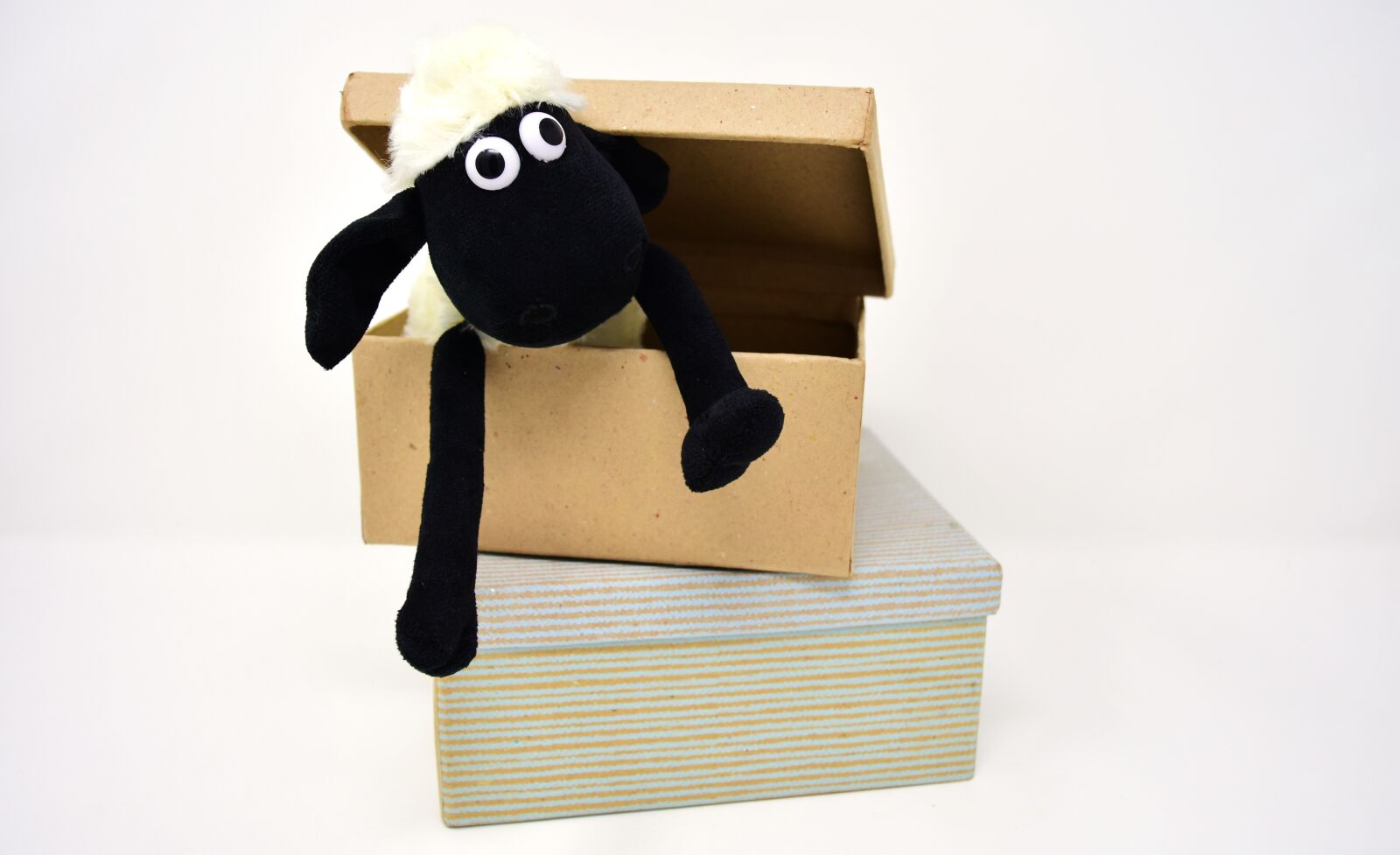 Nikon D7200 sample photo. Sheep, cardboard, box photography