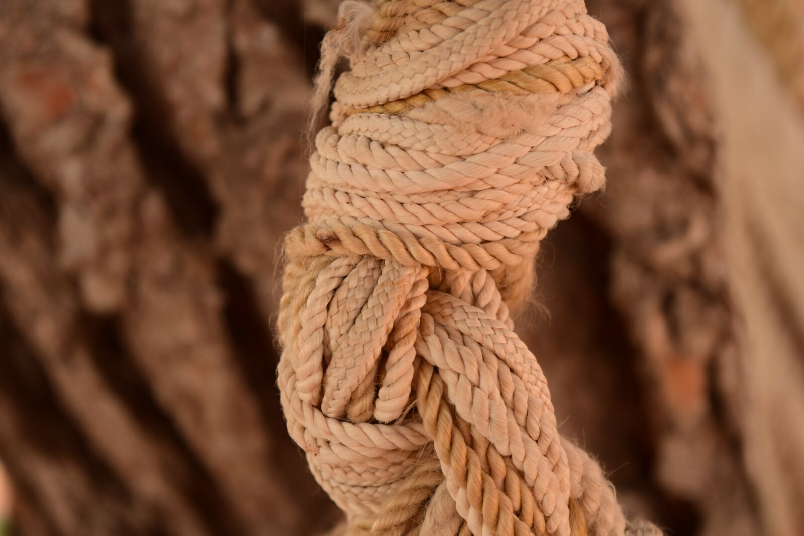 Nikon D3300 sample photo. Rope, knot, close up photography