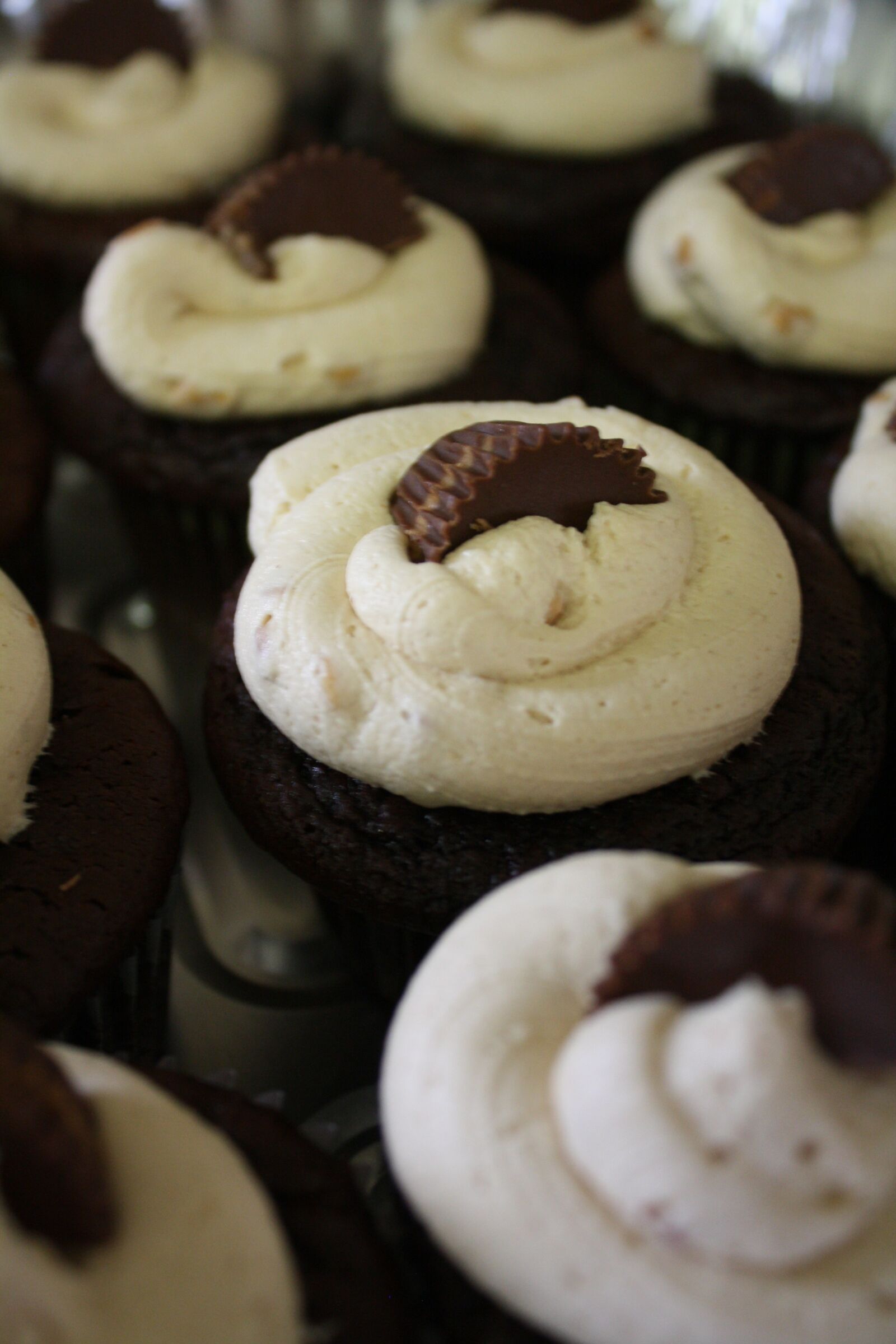 Canon EOS 1000D (EOS Digital Rebel XS / EOS Kiss F) sample photo. Cupcakes, chocolate, dessert photography