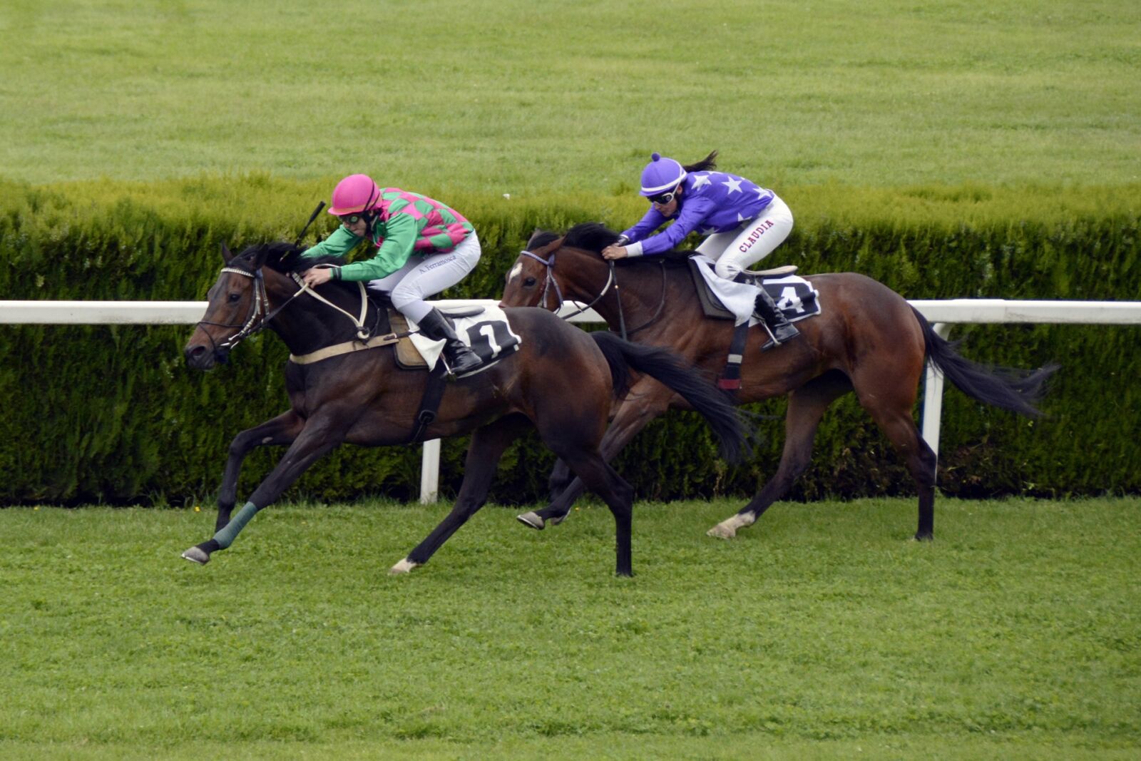 Nikon D7100 sample photo. Horse racing, racecourse, competition photography