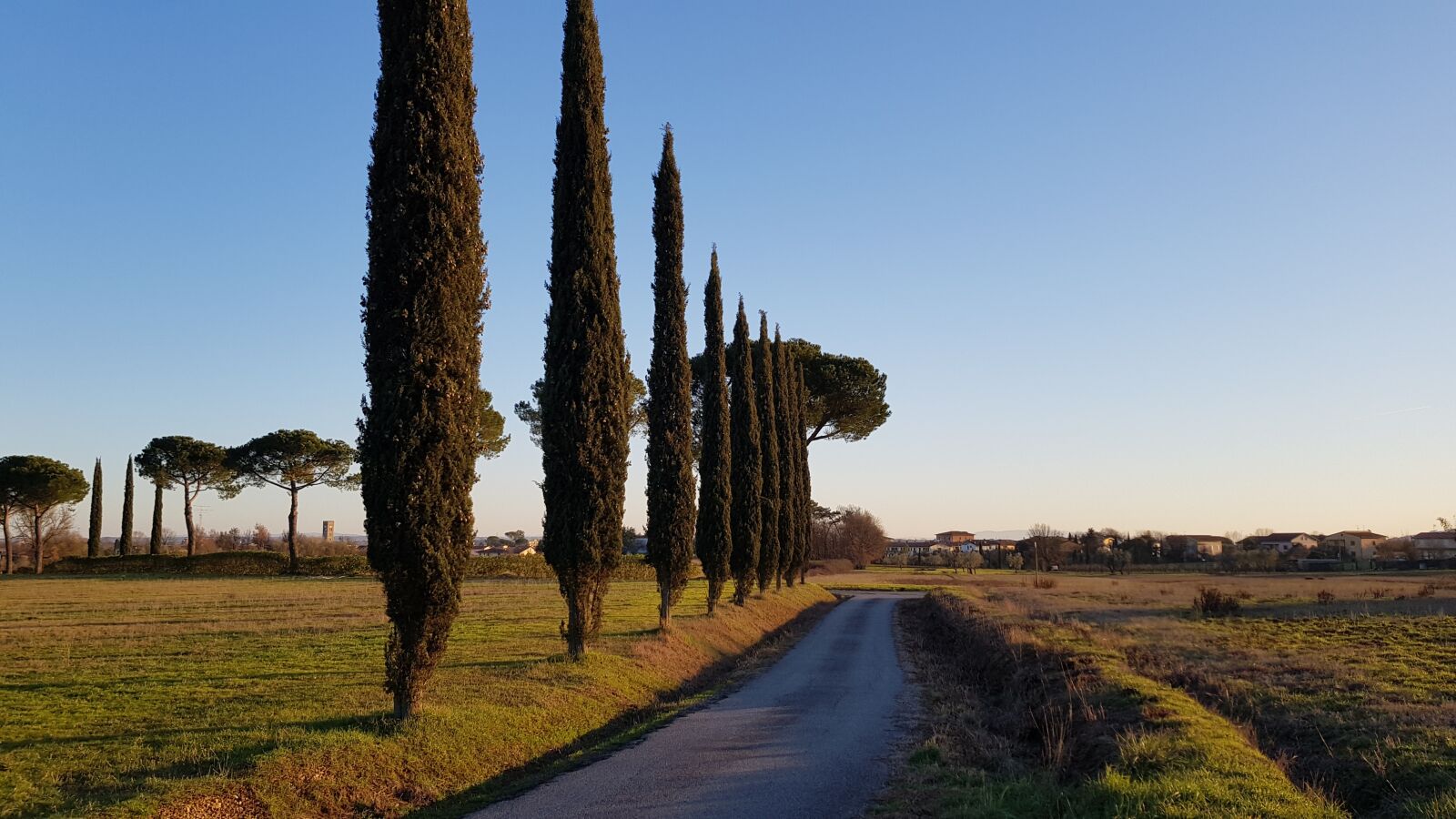 Samsung Galaxy S8 sample photo. Cypresses, tuscany, nature photography