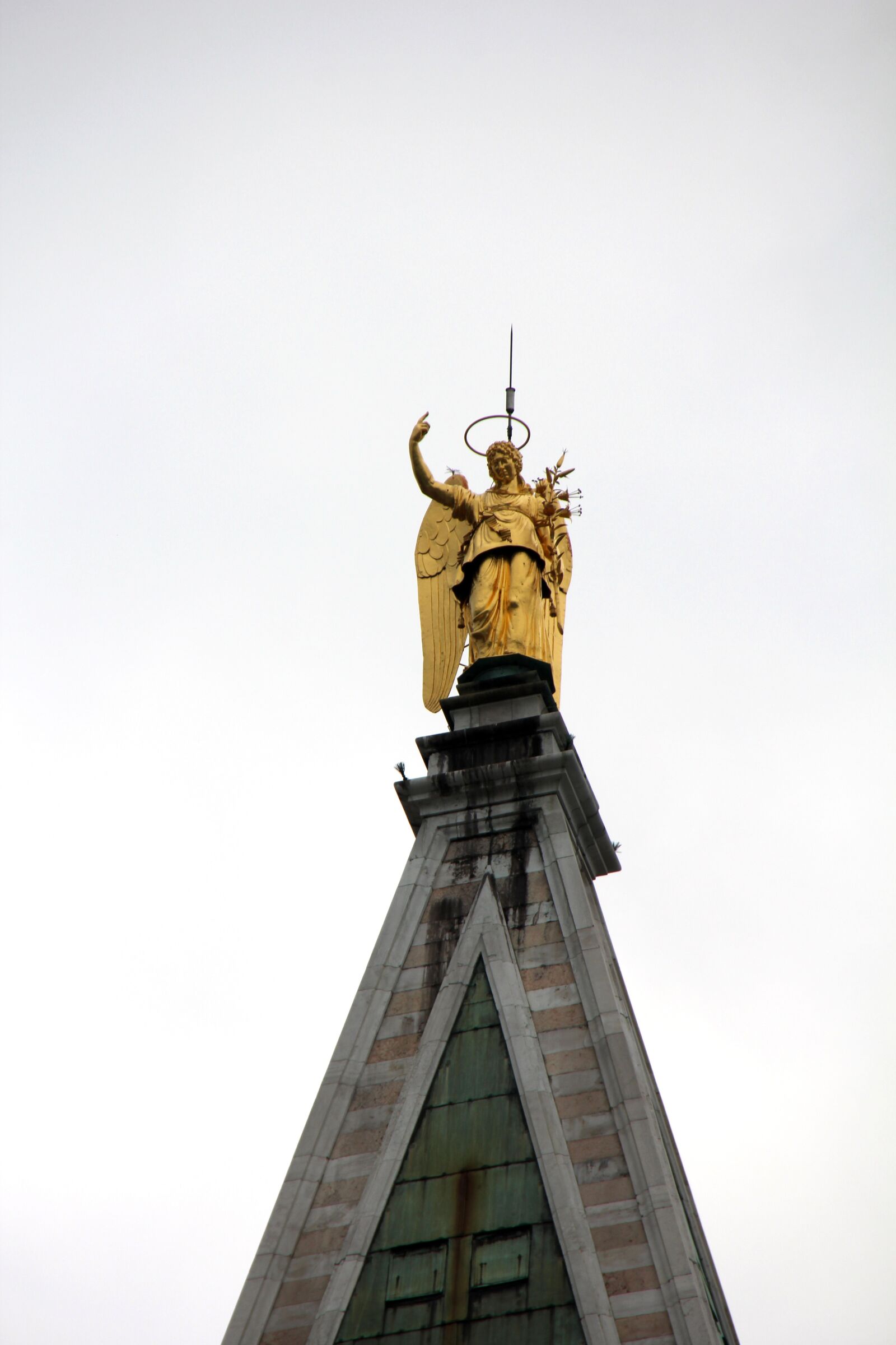 Canon EOS 60D sample photo. Angel, great, roof top photography