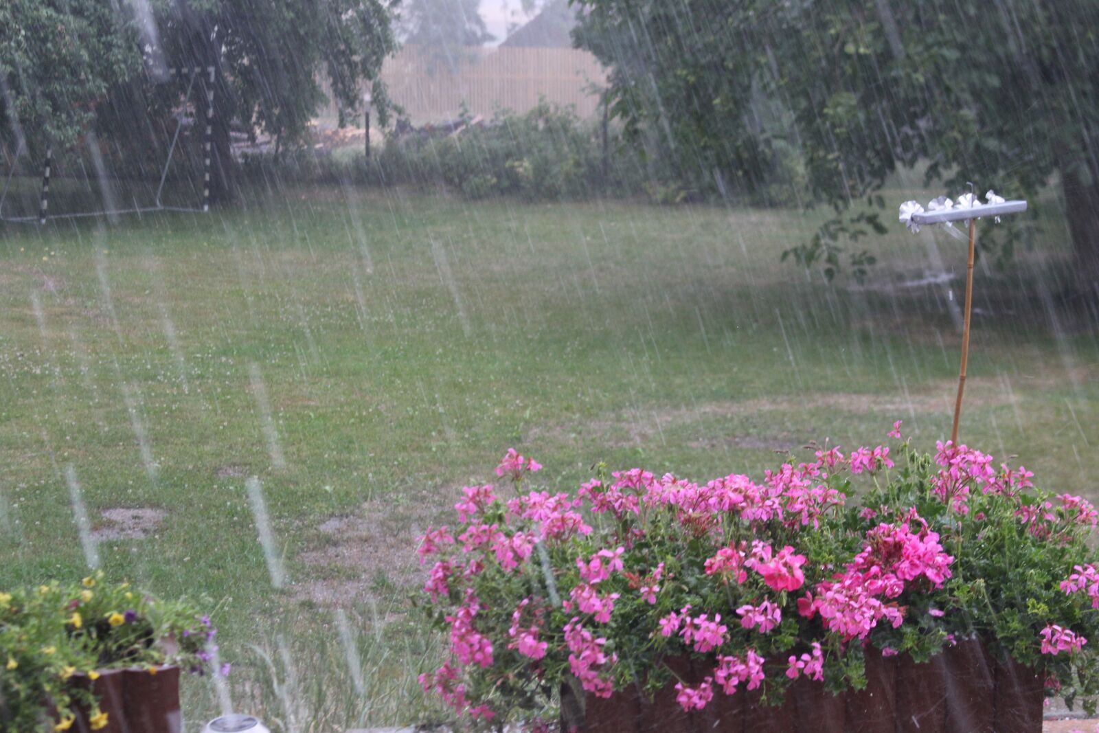 Canon EOS 700D (EOS Rebel T5i / EOS Kiss X7i) sample photo. Rain, summer rain, raindrop photography