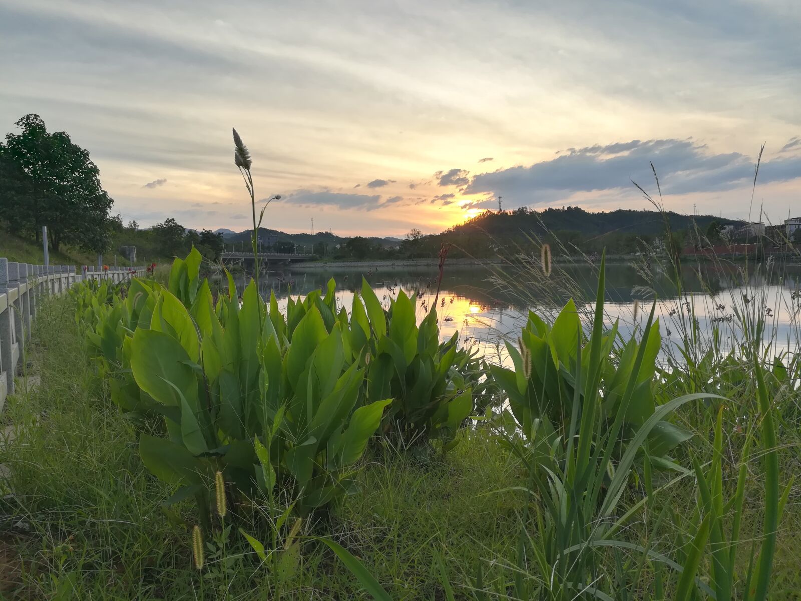 HUAWEI c??Eu?s 6X sample photo. Water bank, grass, riverside photography