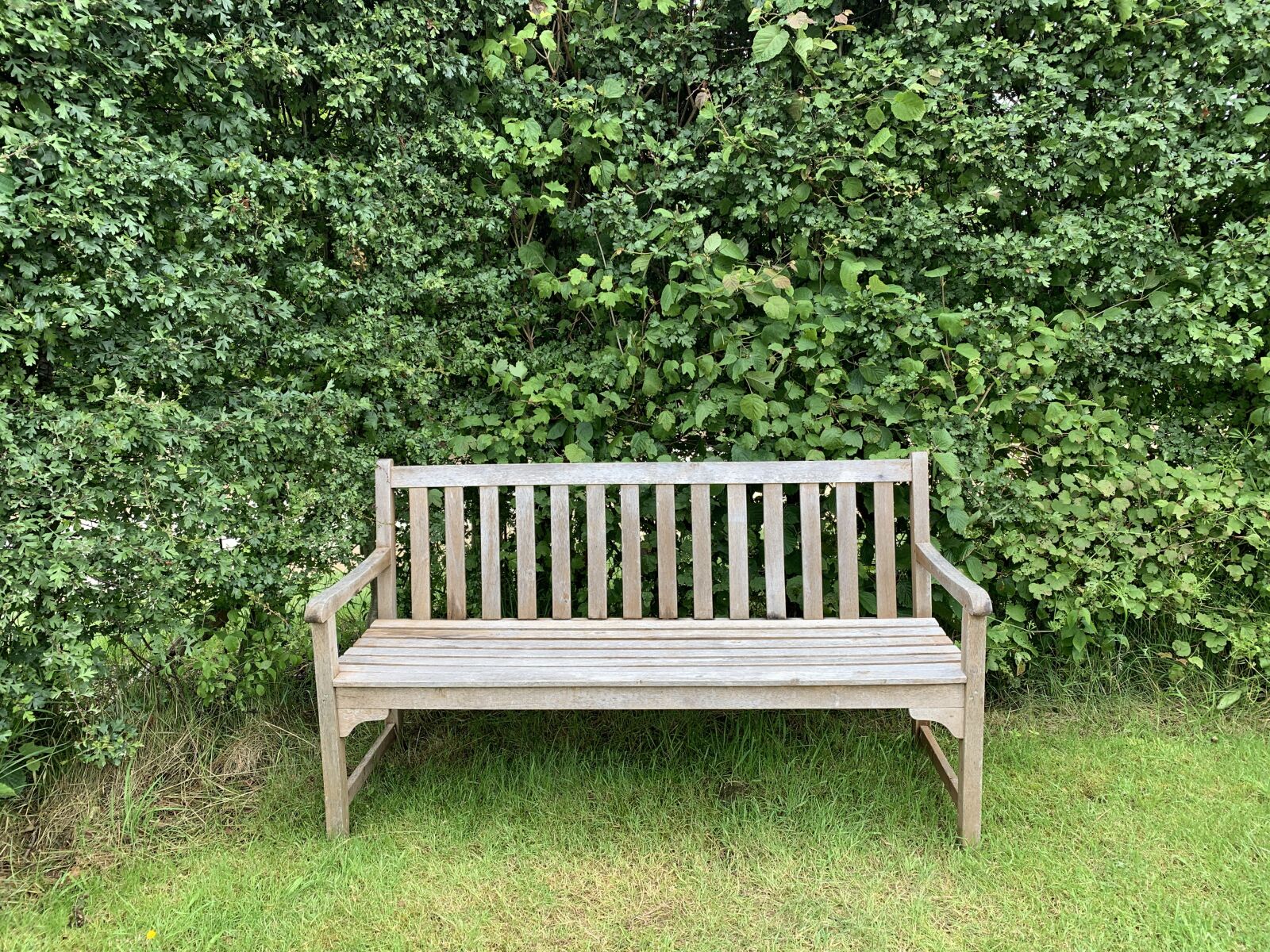 Apple iPhone XS sample photo. Empty, wooden, bench photography