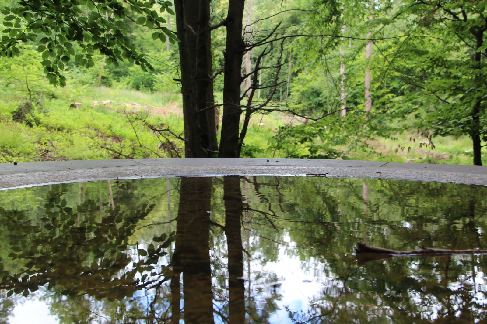 Canon EF-S 18-135mm F3.5-5.6 IS STM sample photo. Water, mirroring, nature photography