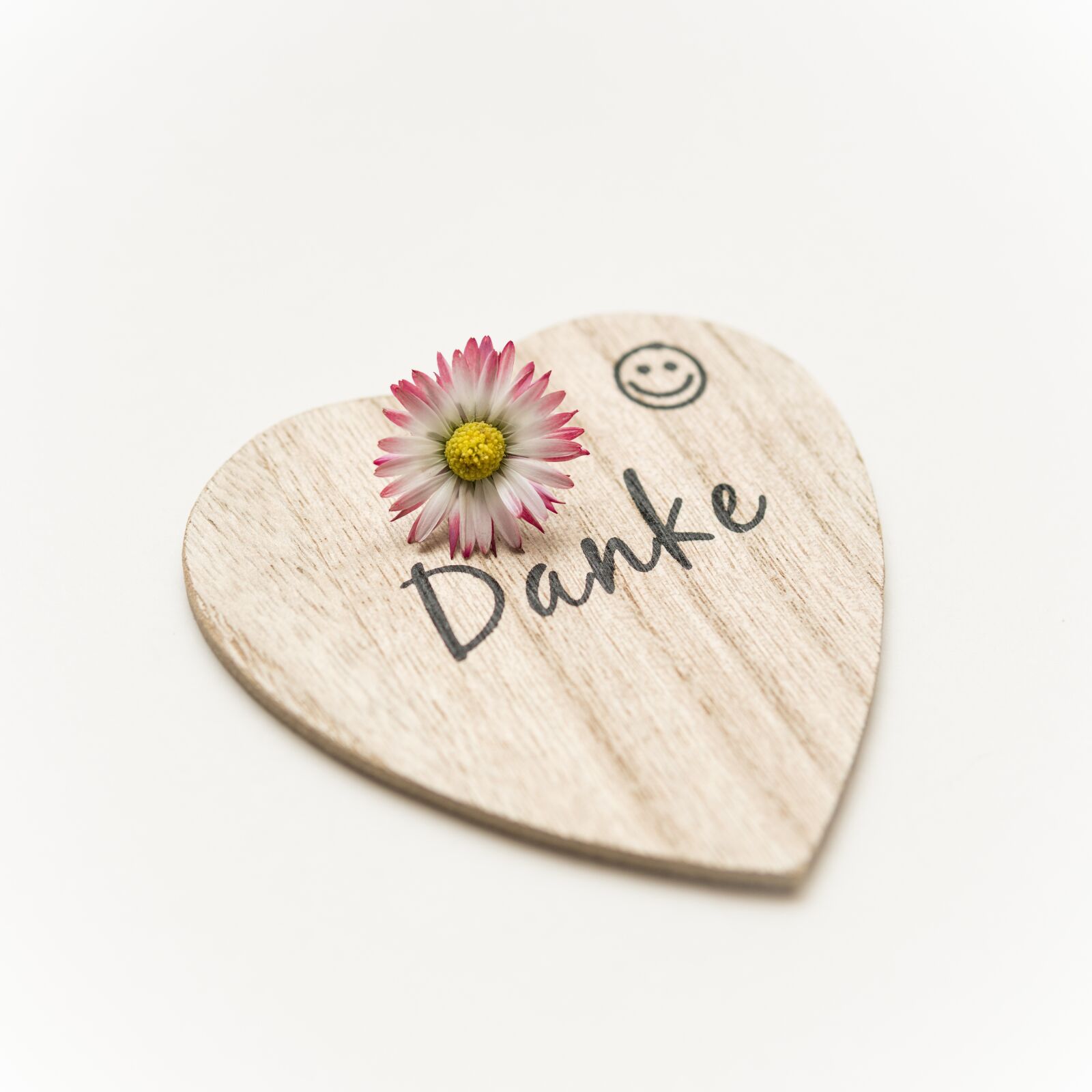 30mm F1.4 DC DN | Contemporary 016 sample photo. Heart, thank you, text photography