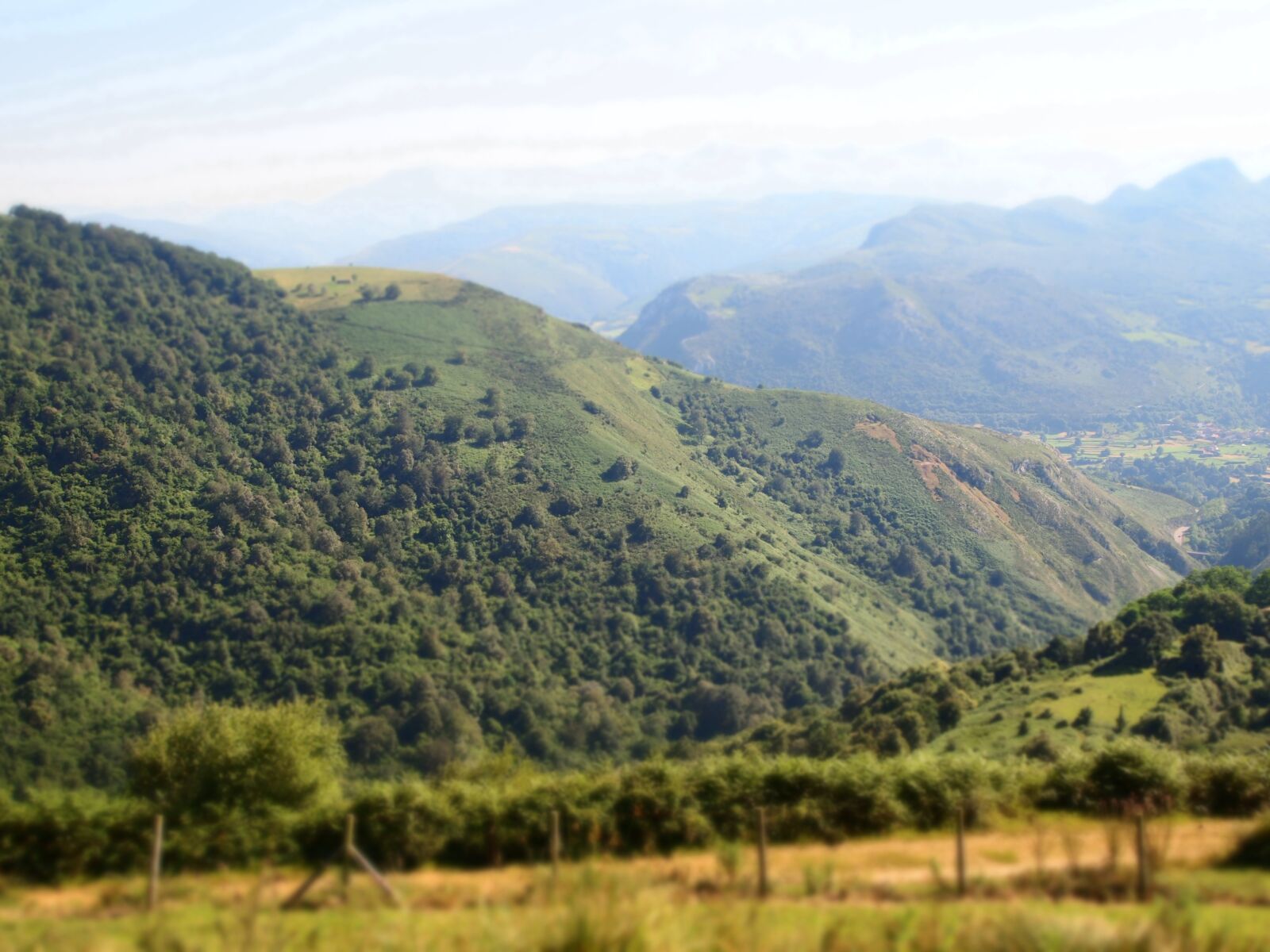 Olympus PEN E-PL1 sample photo. Mountain, vegetation, nature photography