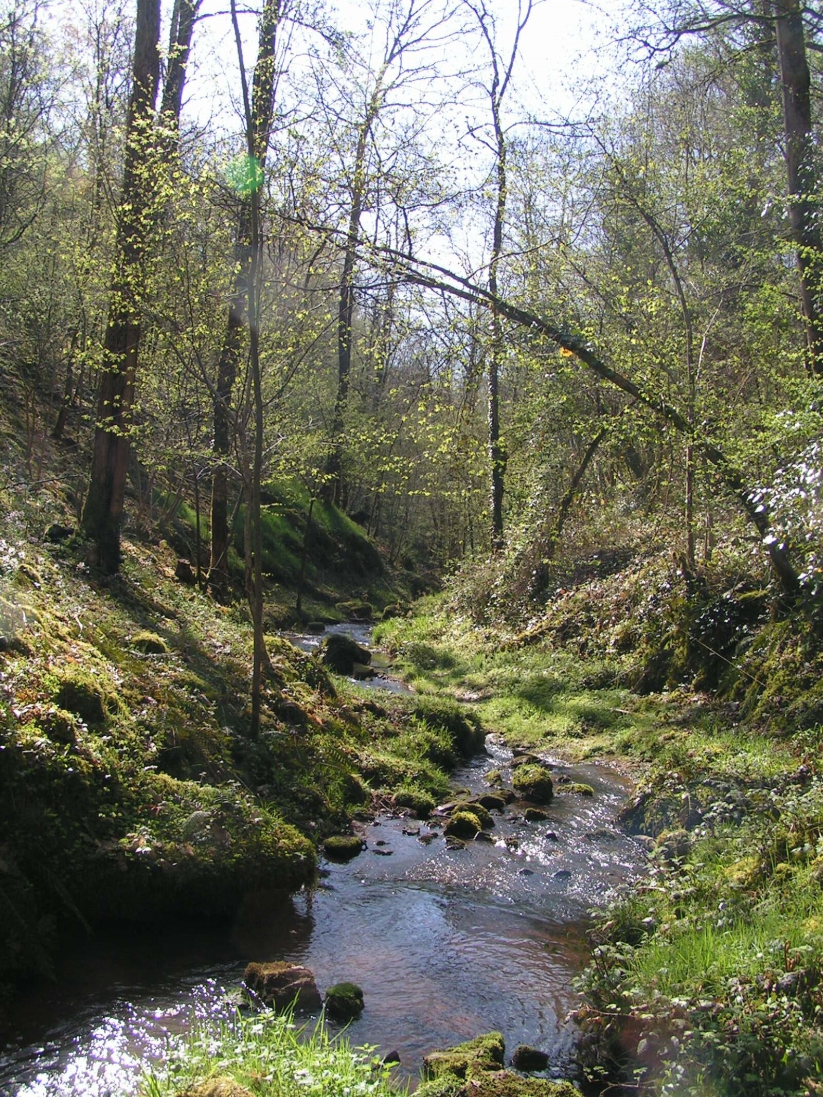 KONICA MINOLTA DiMAGE Z1 sample photo. Collonges-la-rouge, corrèze, creek photography