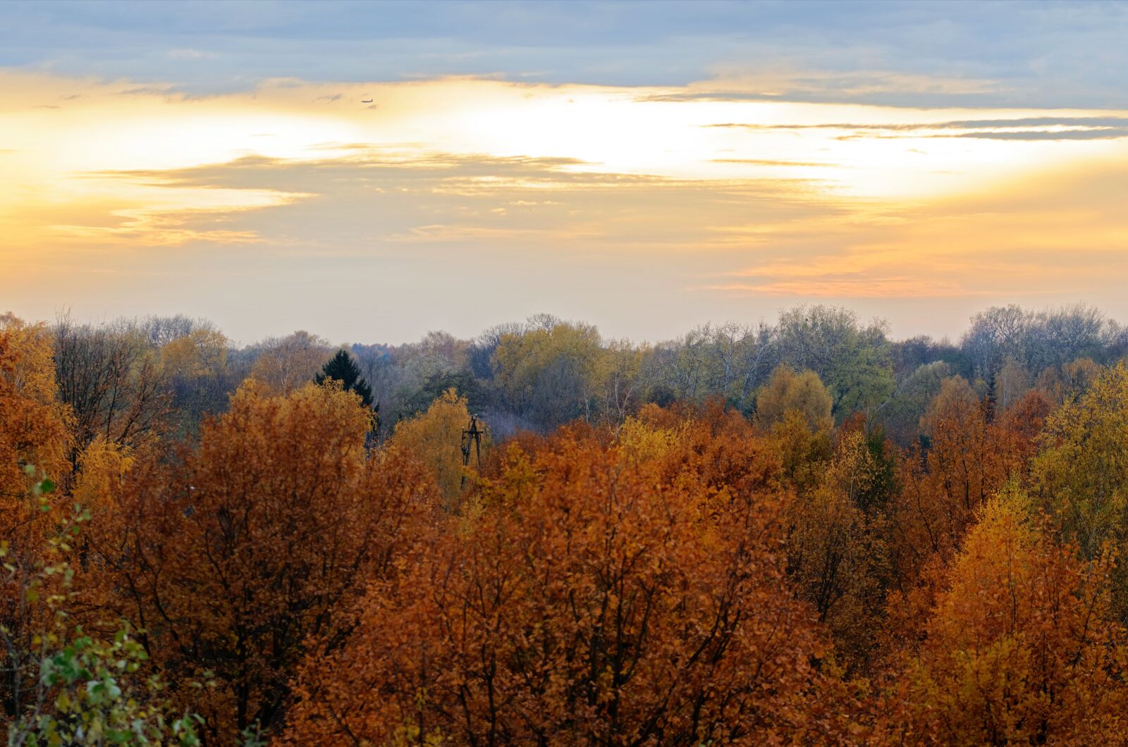 Nikon D5100 sample photo. Landscape, nature, trees photography