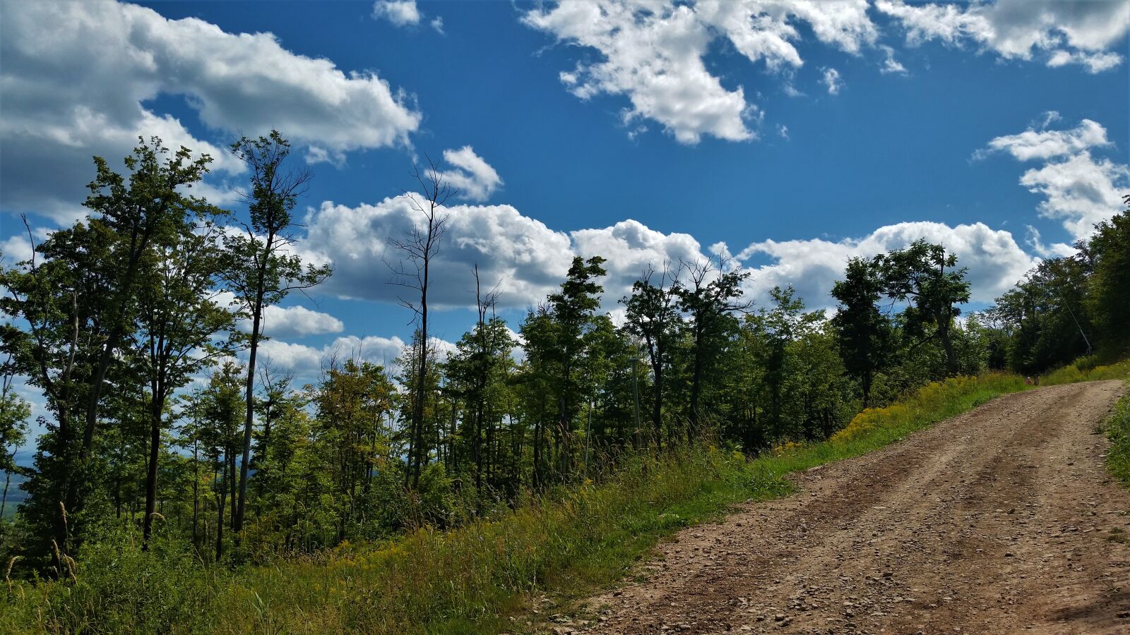 Samsung Galaxy S5 sample photo. Path, mountain, trail photography