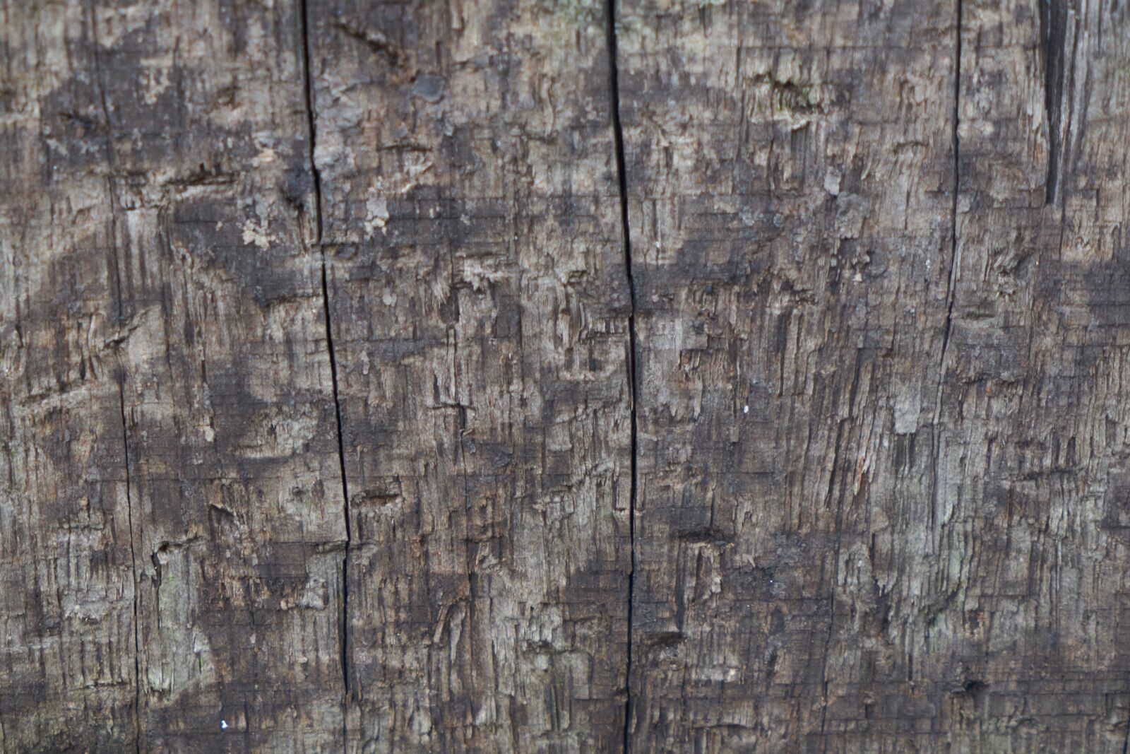 Sony a7R II sample photo. Wood, timber, texture photography