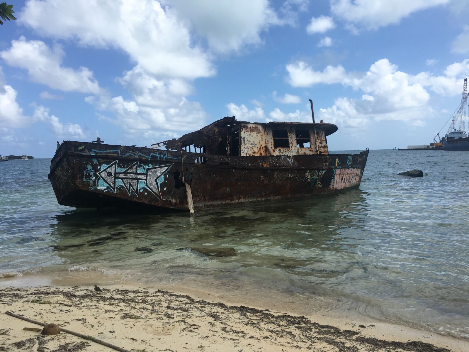 Apple iPhone 6s sample photo. Mar, beach, coconut tree photography