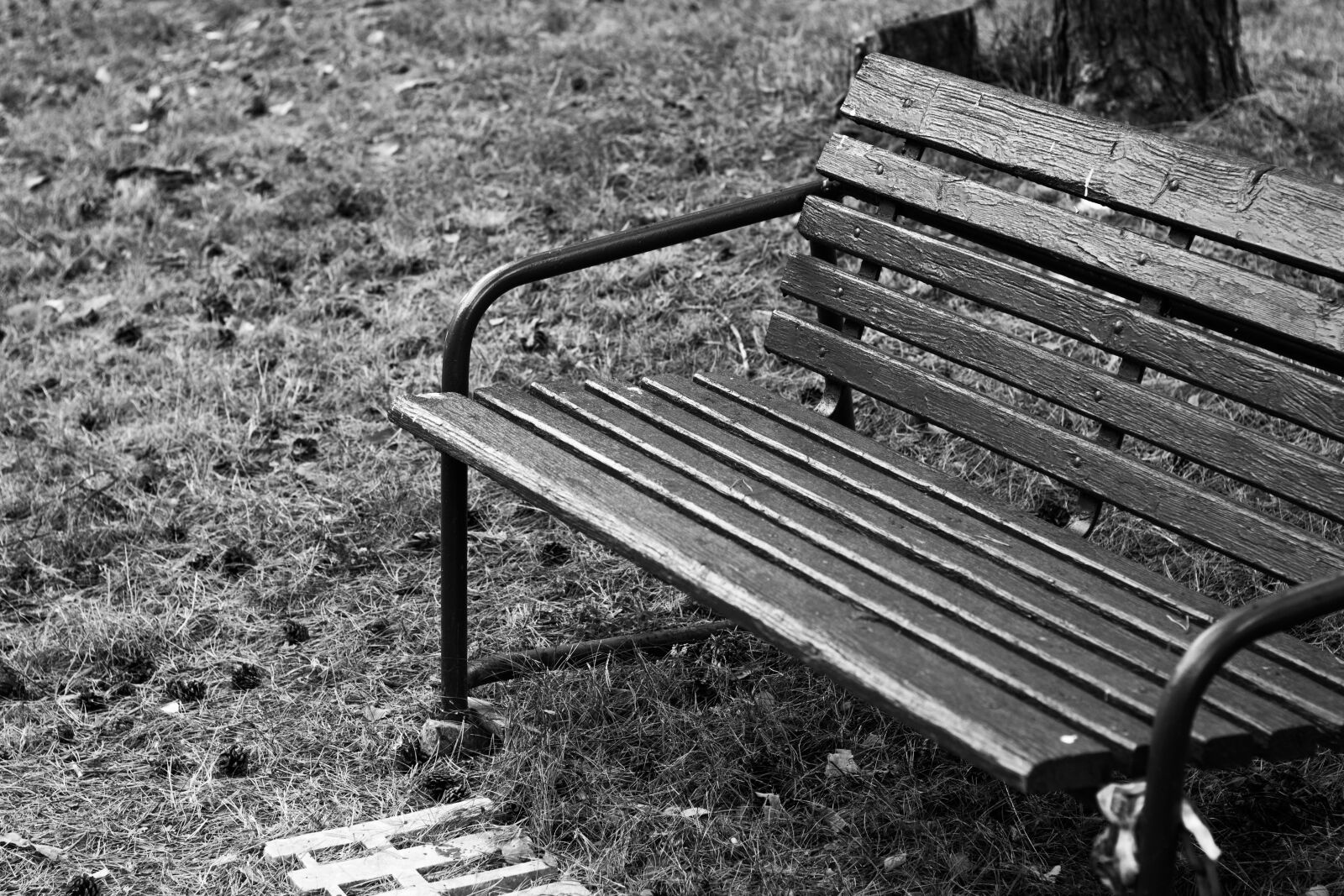 Canon EOS 700D (EOS Rebel T5i / EOS Kiss X7i) + Canon EF 50mm F1.8 STM sample photo. Bench, session, outside photography