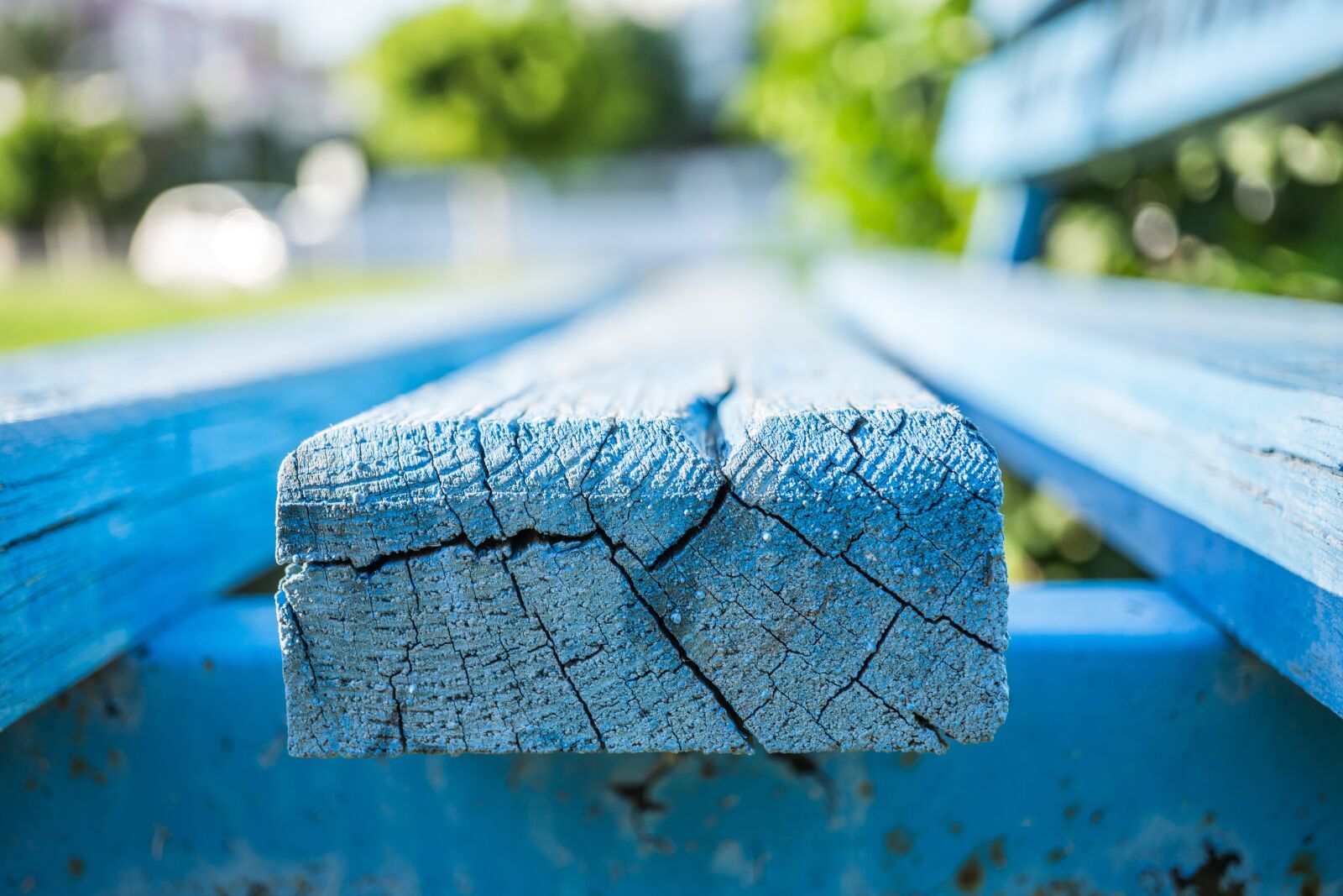Sony E 30mm F3.5 Macro sample photo. Bench, macro, blue photography
