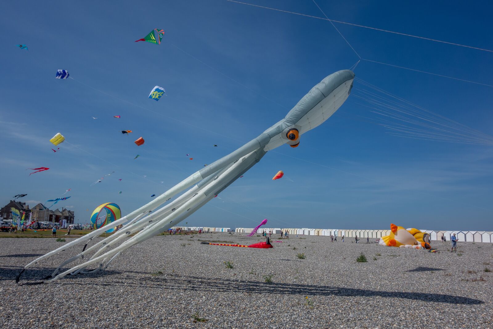 Sony Cyber-shot DSC-RX100 sample photo. Kite, festival, beach photography