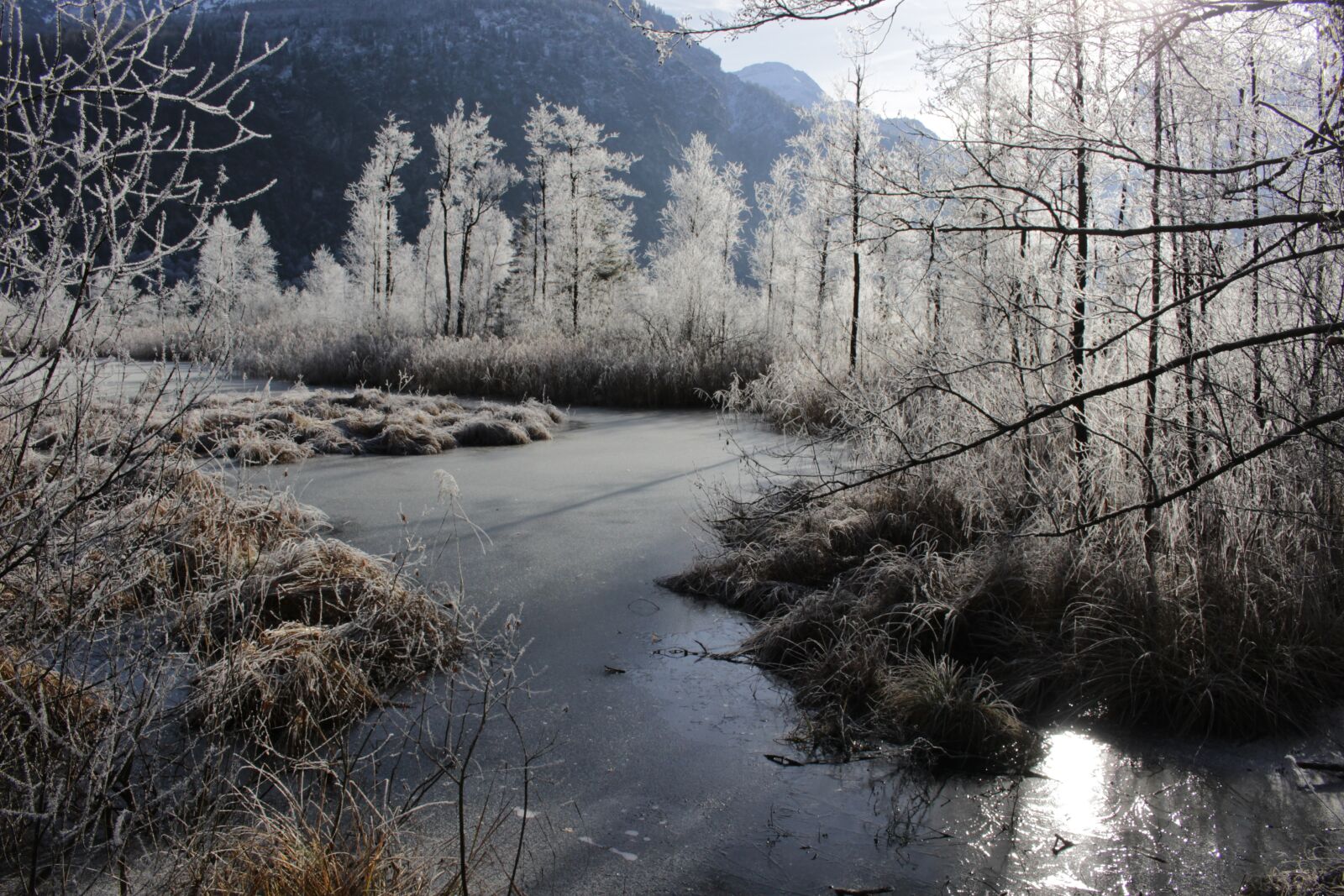 Canon EOS 100D (EOS Rebel SL1 / EOS Kiss X7) sample photo. Ice, winter, bach photography